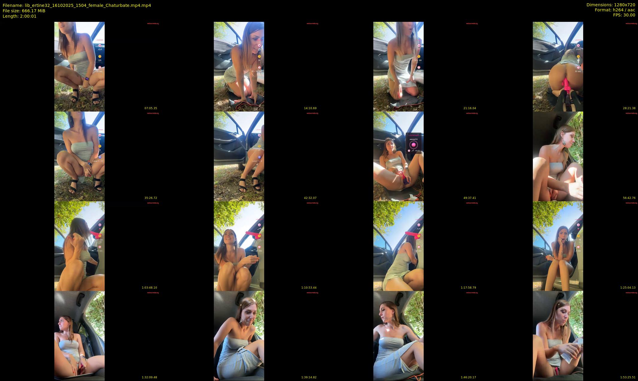 lib_ertine32 — 121 minute Chaturbate female cam show recording, 720p, Oct 16, 2025