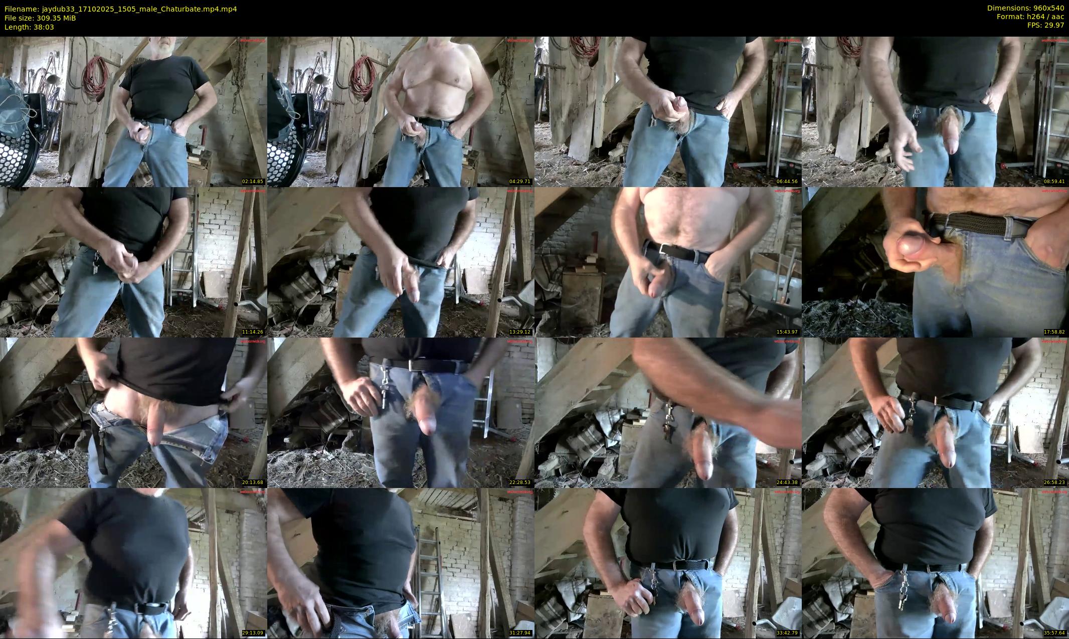 jaydub33 — 39 minute Chaturbate male cam show recording, 480p, Oct 17, 2025