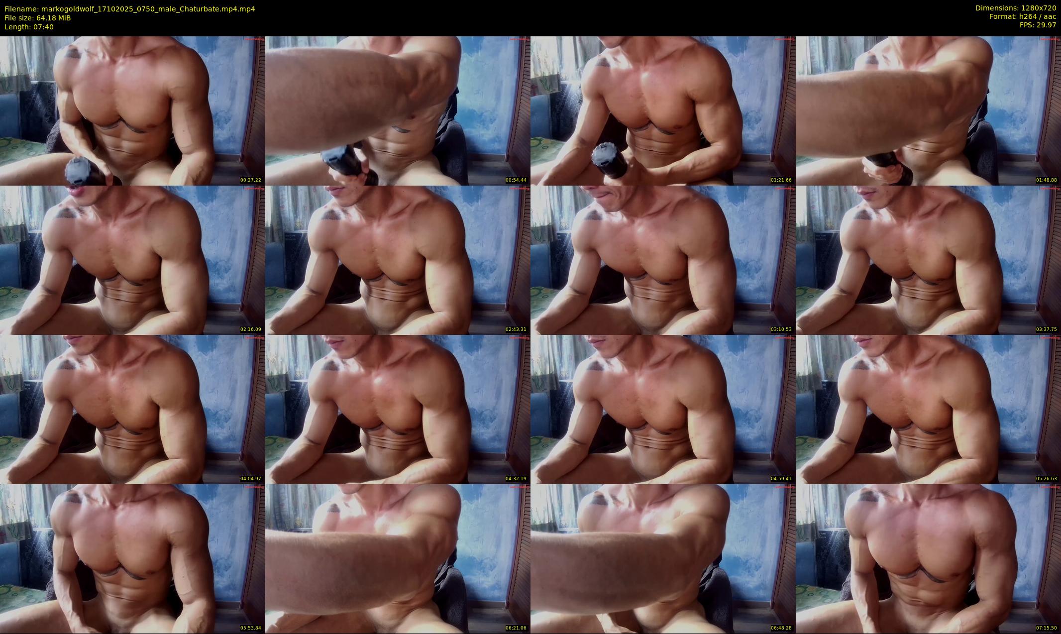 markogoldwolf — 8 minute Chaturbate male cam show recording, 720p, Oct 17, 2025