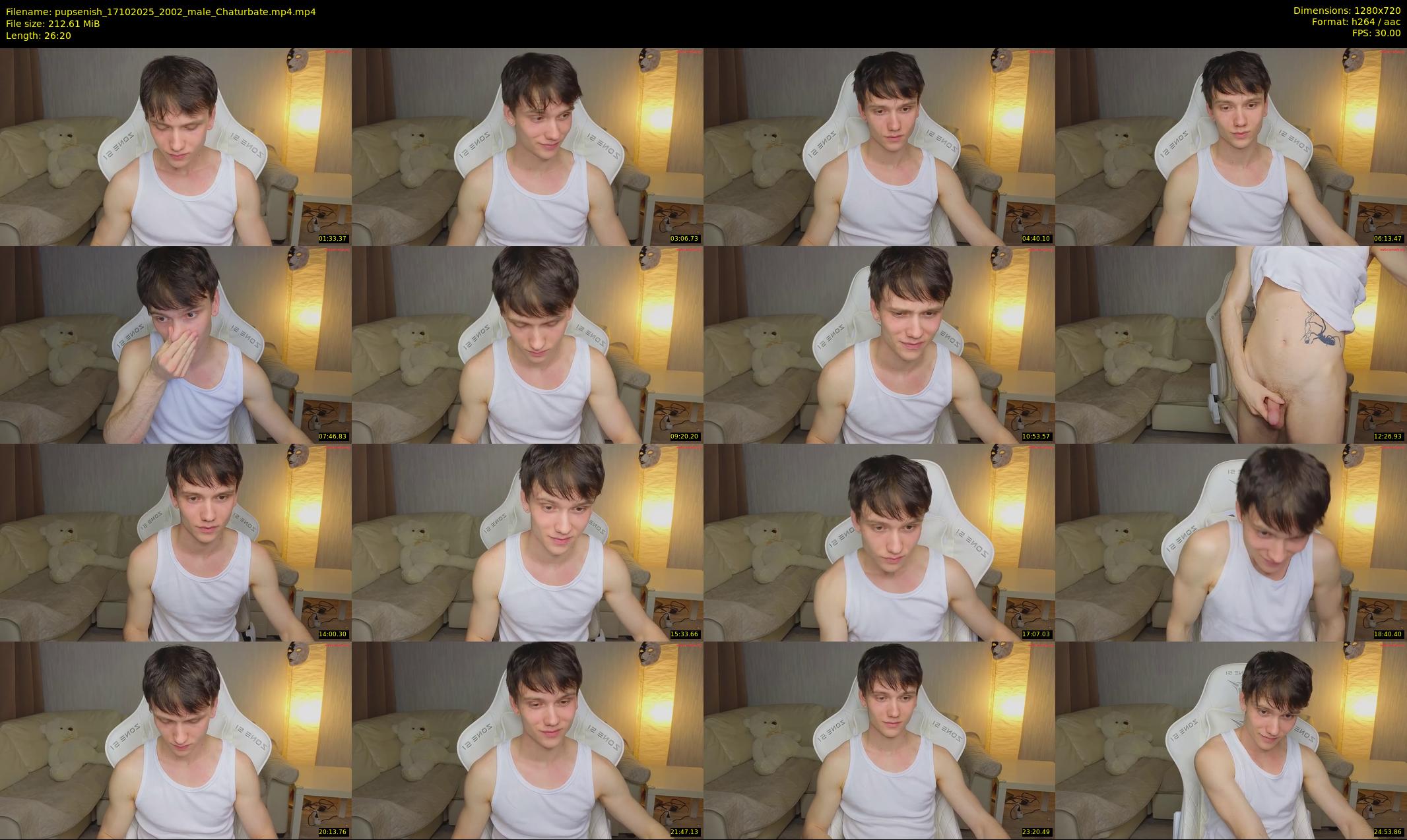 pupsenish — 27 minute Chaturbate male cam show recording, 720p, Oct 17, 2025