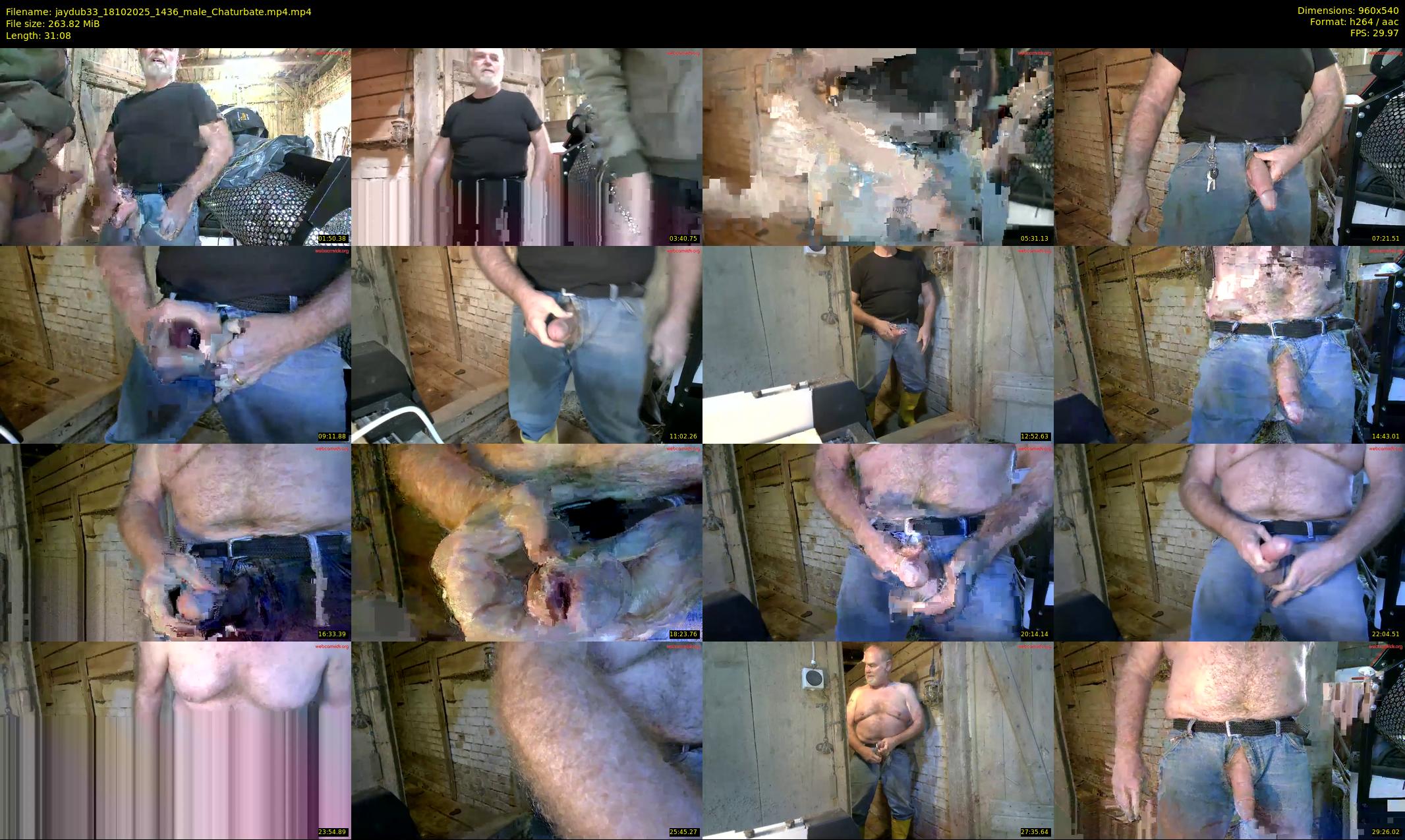 jaydub33 — 32 minute Chaturbate male cam show recording, 480p, Oct 18, 2025