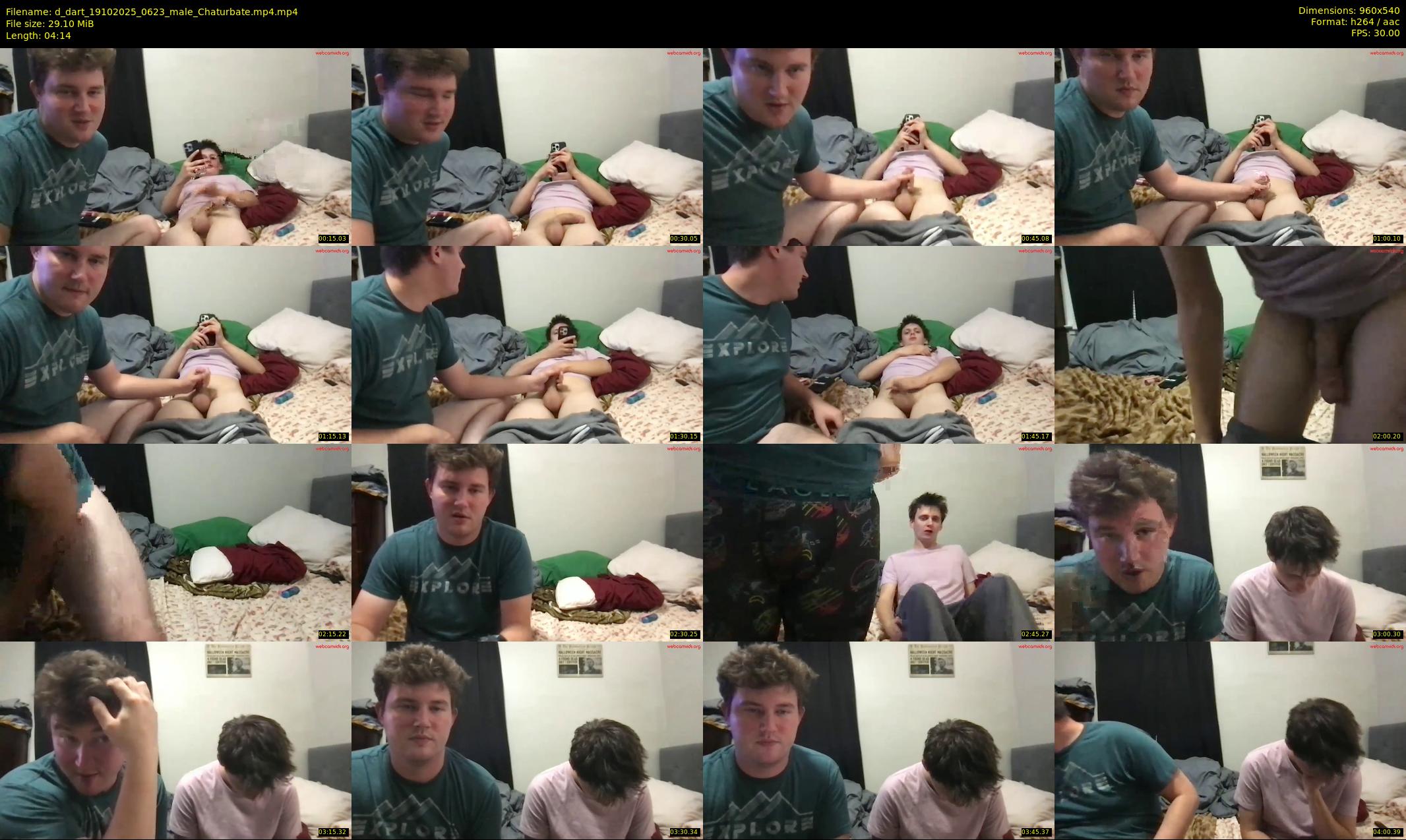 d_dart — 5 minute Chaturbate male cam show recording, 480p, Oct 19, 2025