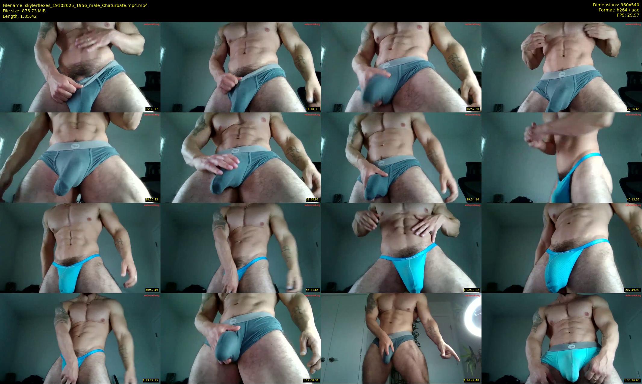 skylerflexes — 96 minute Chaturbate male cam show recording, 480p, Oct 19, 2025