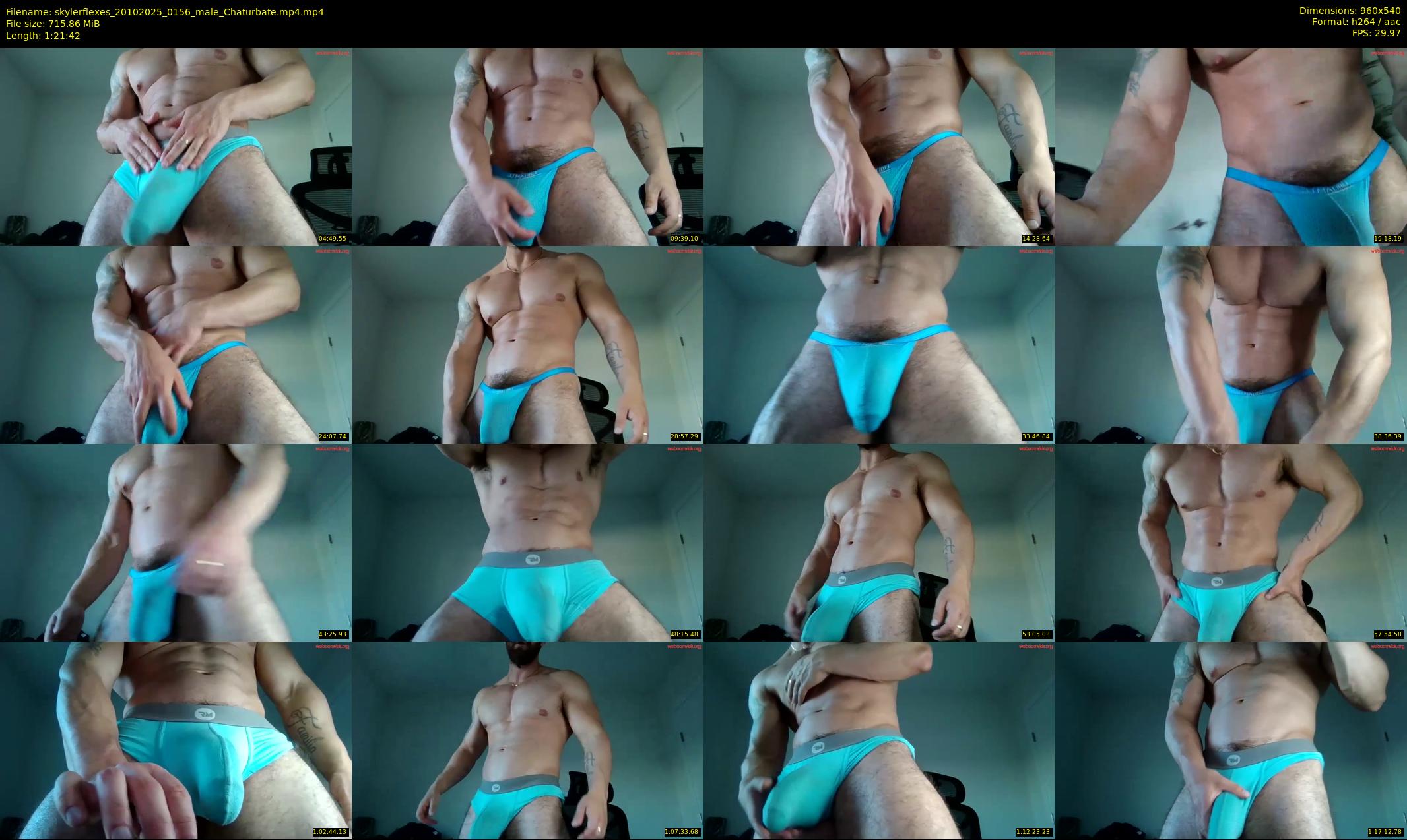 skylerflexes — 82 minute Chaturbate male cam show recording, 480p, Oct 20, 2025
