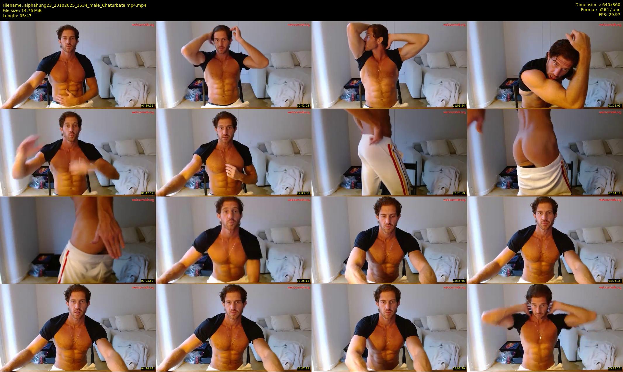 alphahung23 — 6 minute Chaturbate male cam show recording, 360p, Oct 20, 2025
