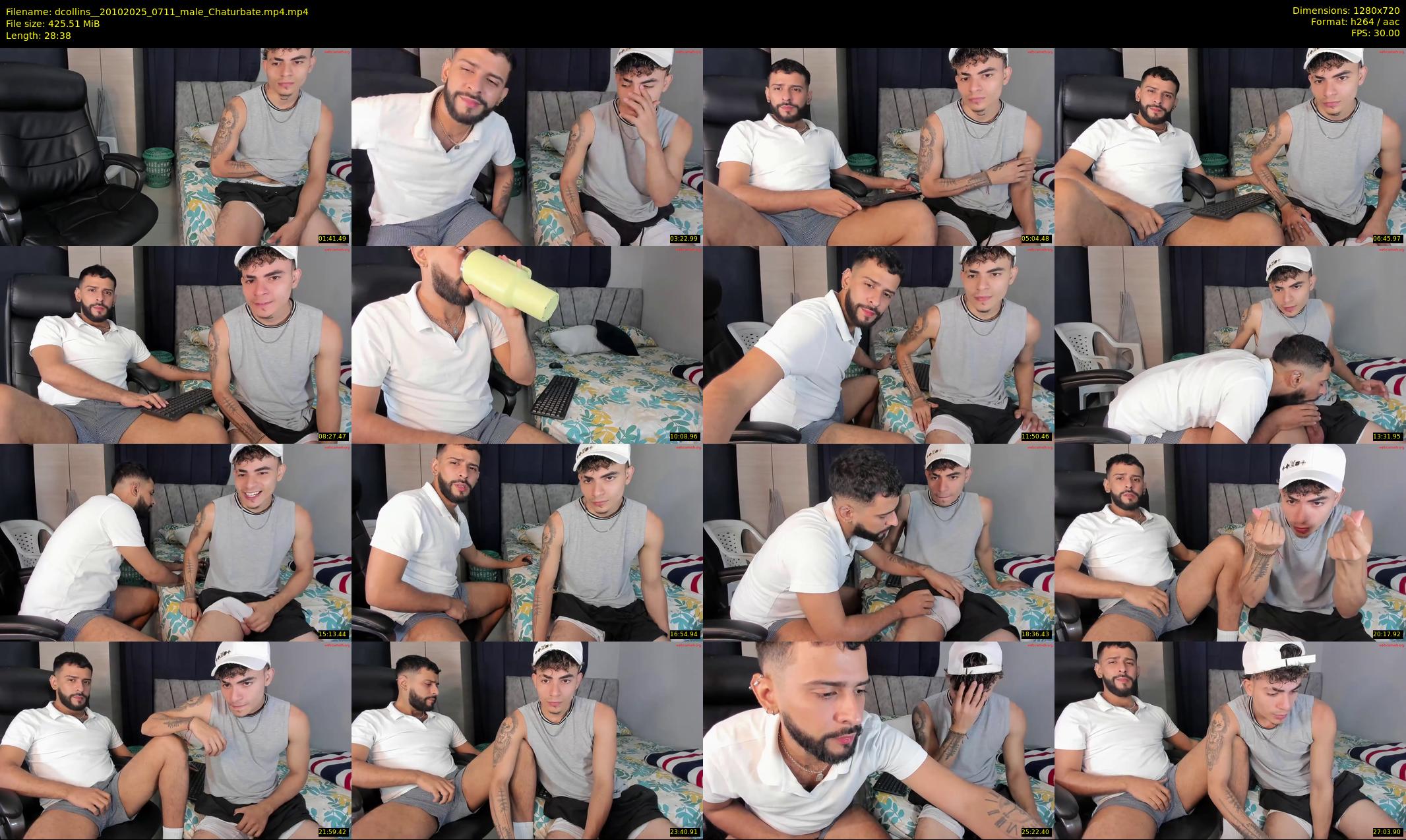 dcollins_ — 29 minute Chaturbate male cam show recording, 720p, Oct 20, 2025