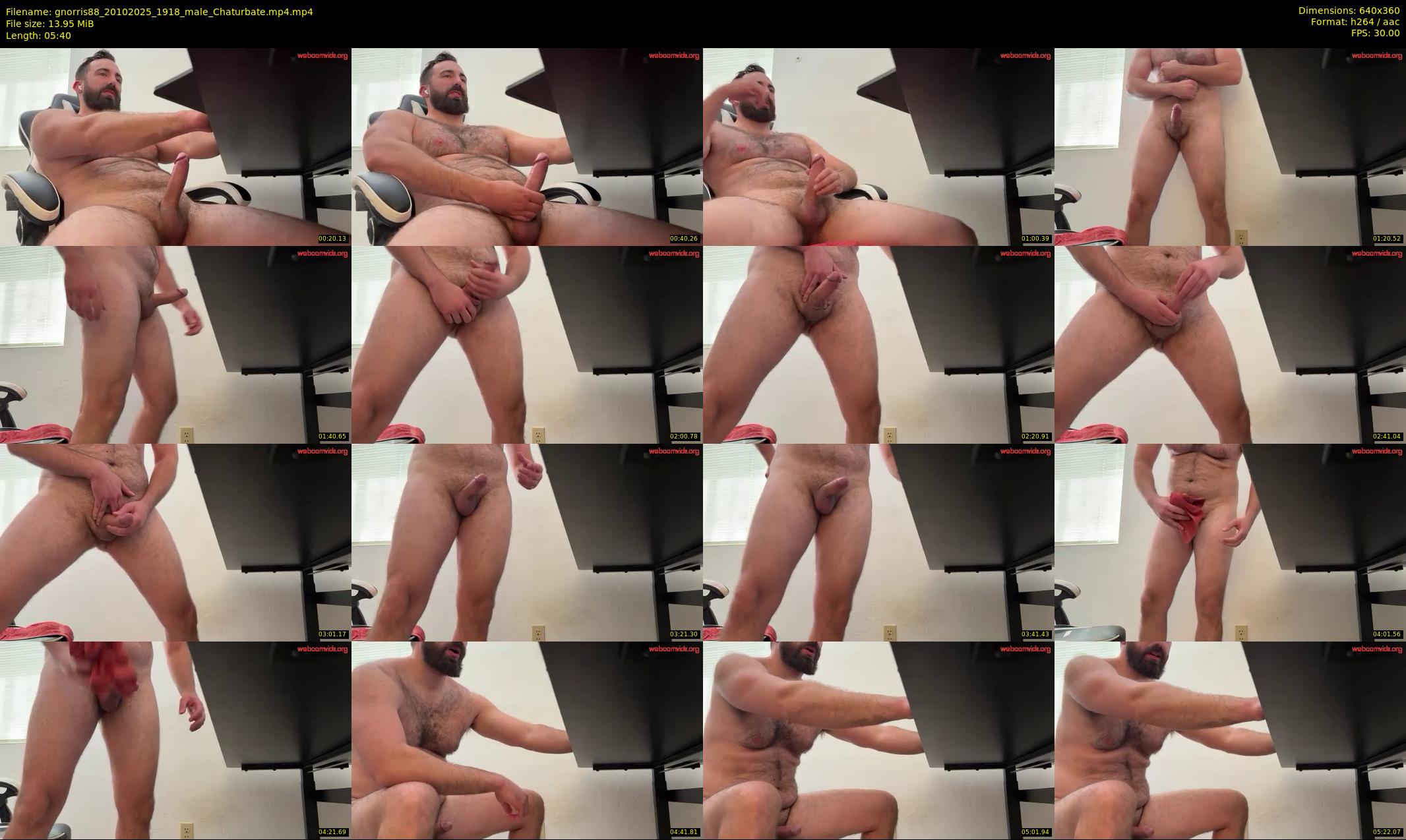 gnorris88 — 6 minute Chaturbate male cam show recording, 360p, Oct 20, 2025