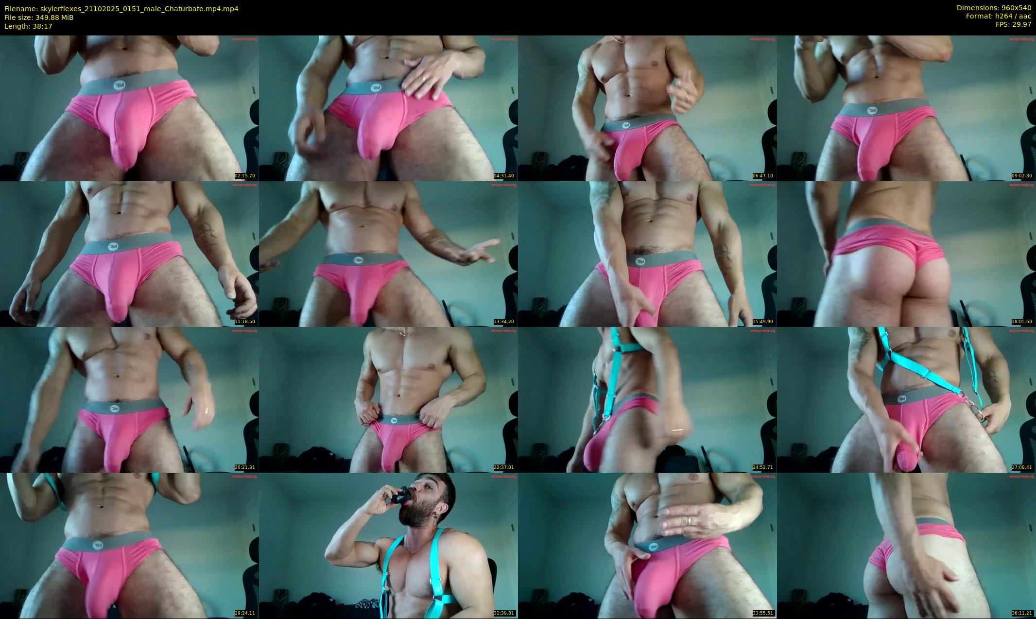 skylerflexes — 39 minute Chaturbate male cam show recording, 480p, Oct 21, 2025