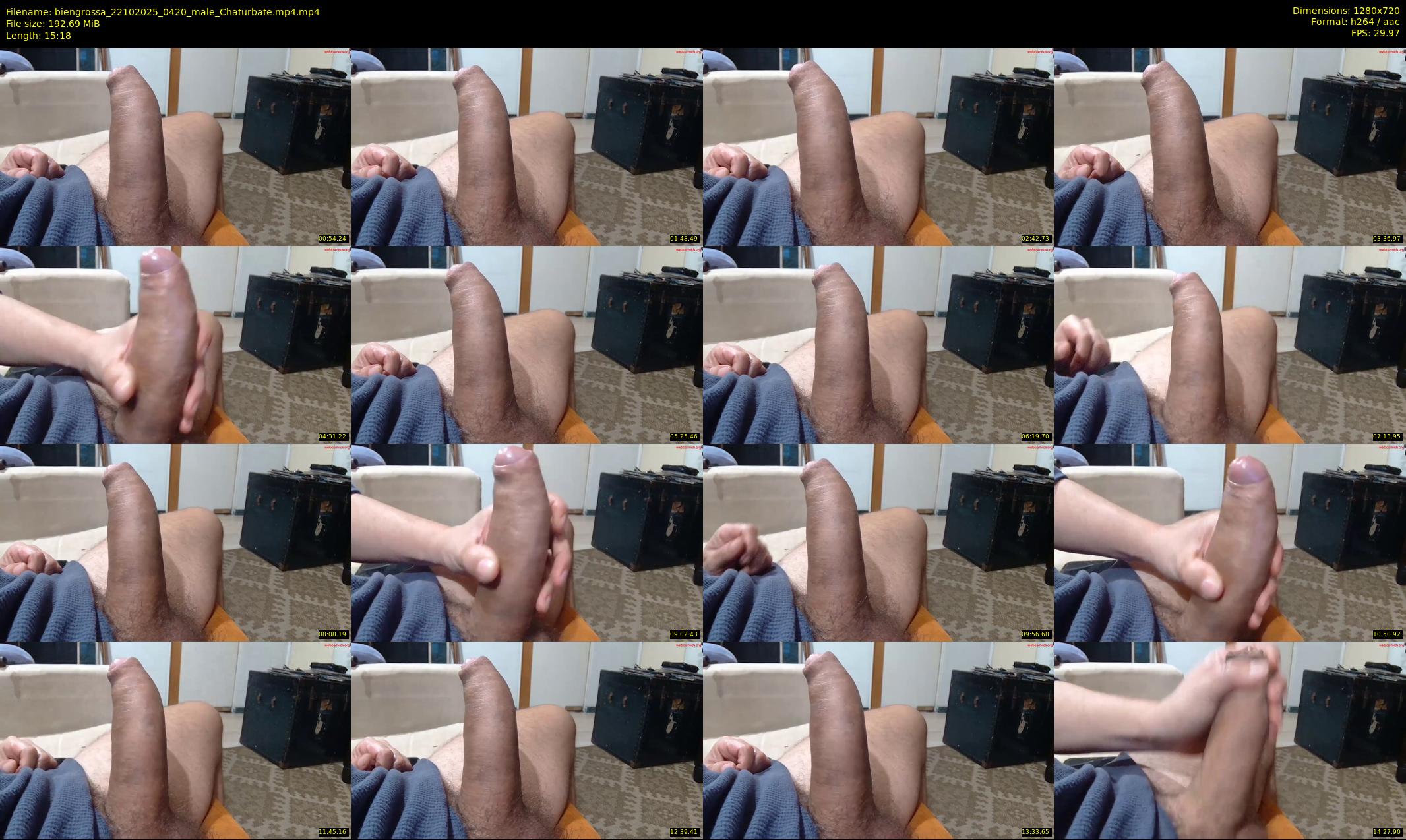 biengrossa — 16 minute Chaturbate male cam show recording, 720p, Oct 22, 2025