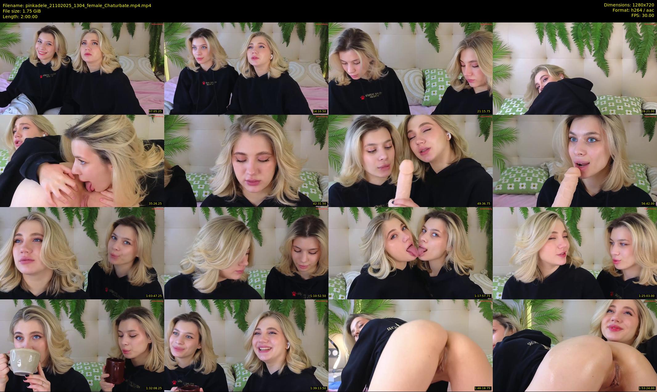 pinkadele — 120 minute Chaturbate female cam show recording, 720p, Oct 21, 2025