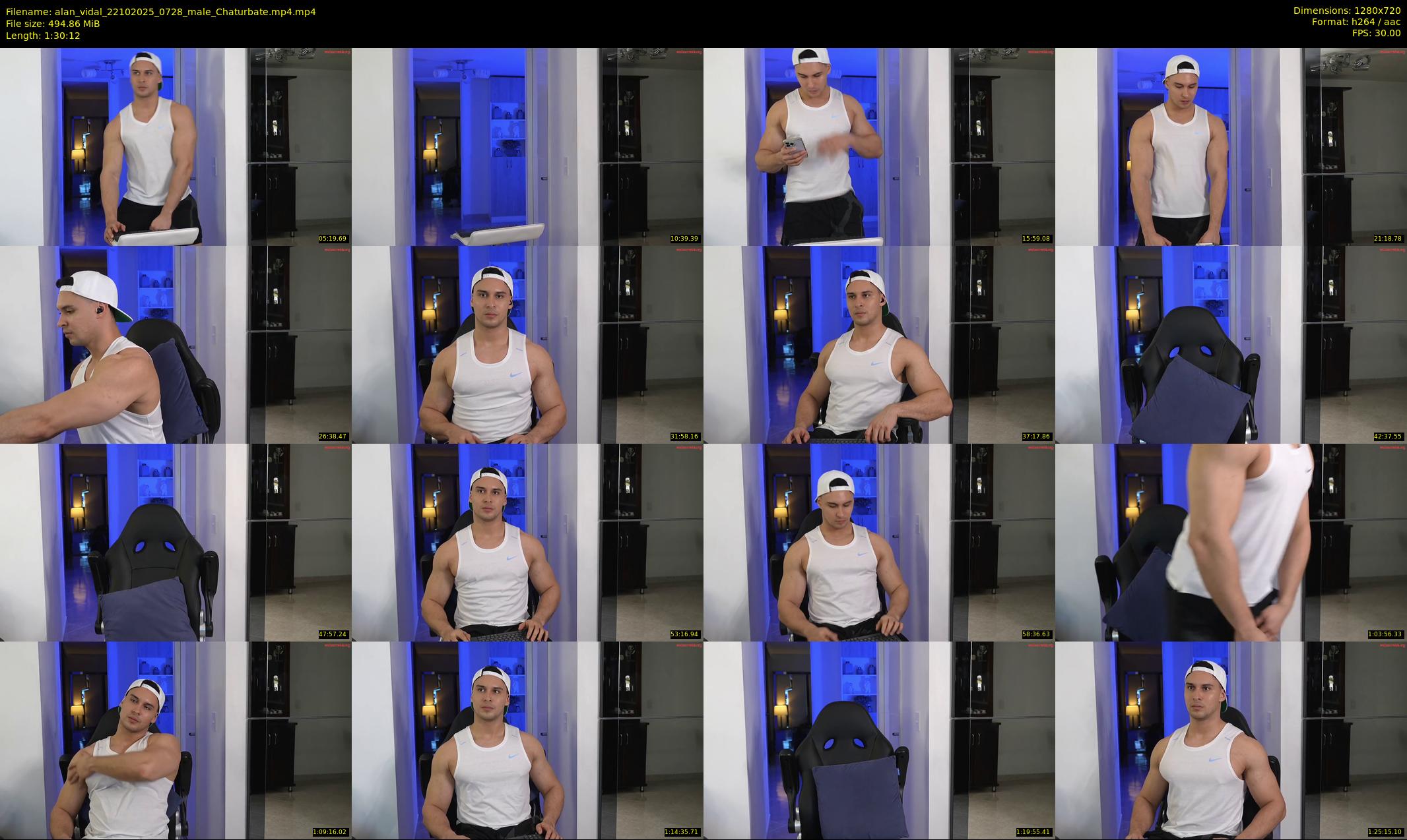 alan_vidal — 91 minute Chaturbate male cam show recording, 720p, Oct 22, 2025