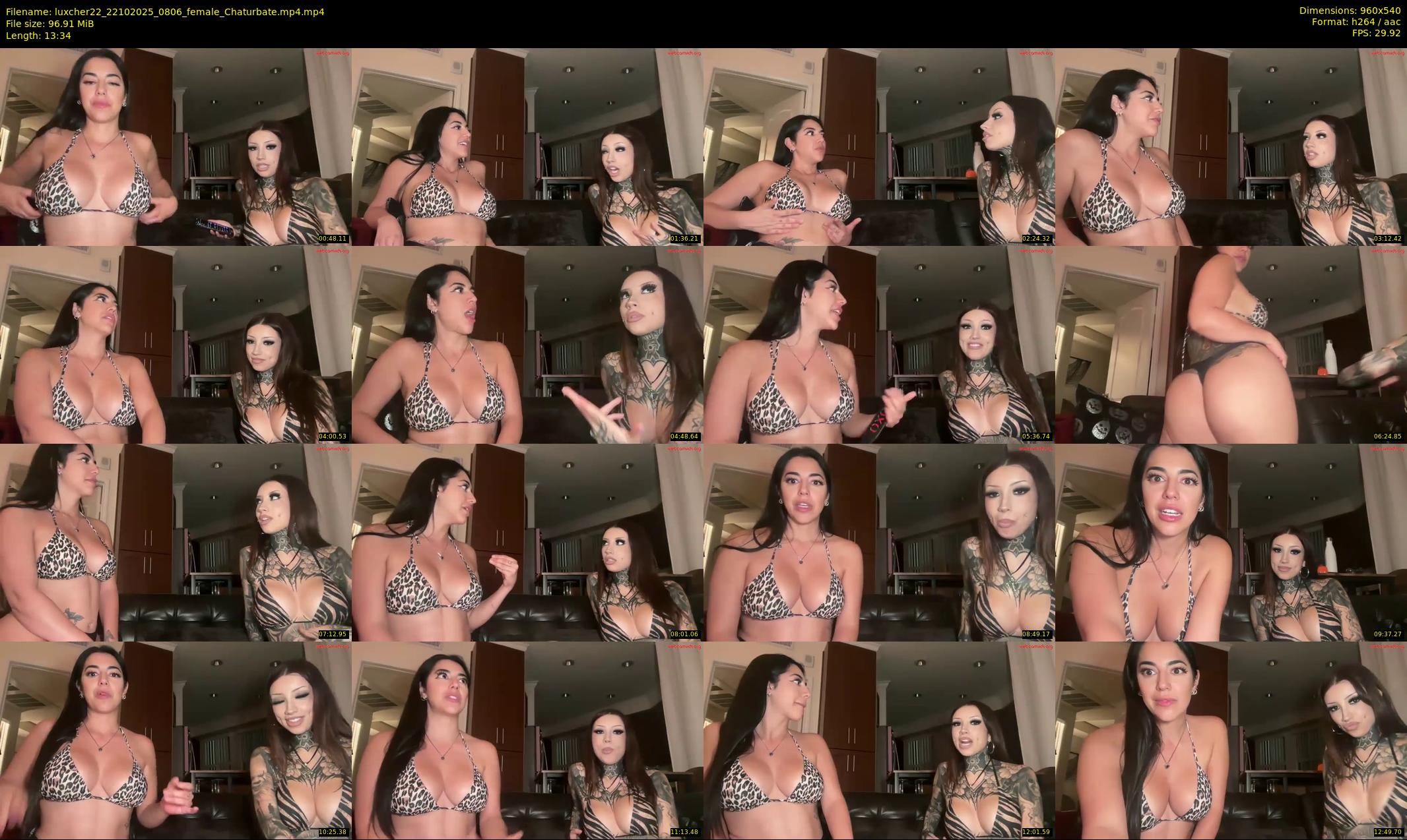luxcher22 — 14 minute Chaturbate female cam show recording, 480p, Oct 22, 2025