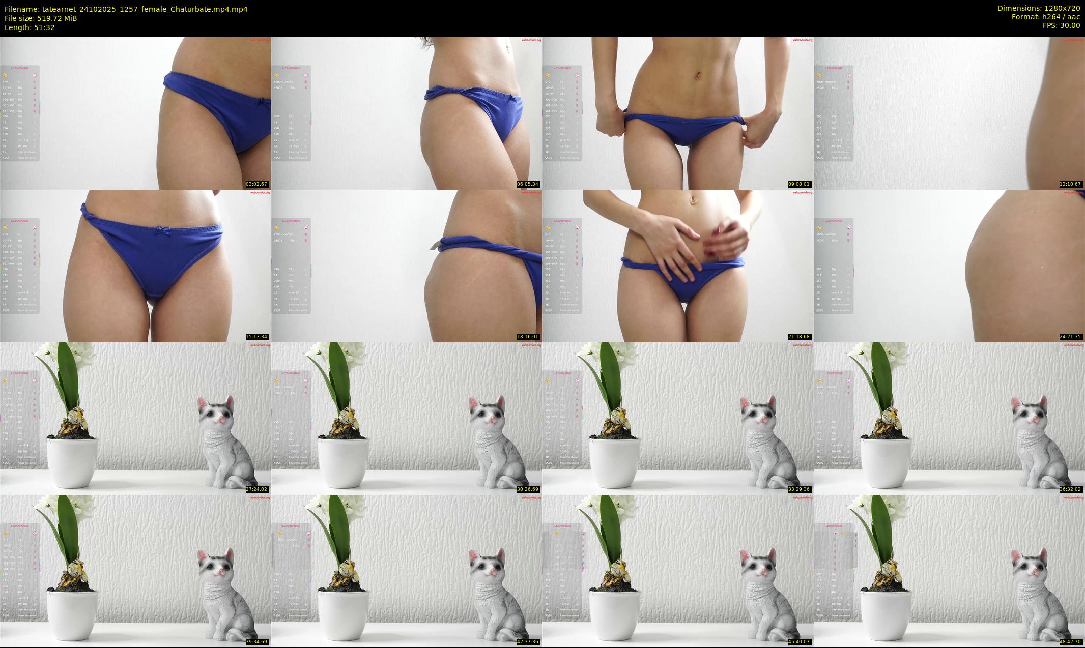 tatearnet — 52 minute Chaturbate female cam show recording, 720p, Oct 24, 2025