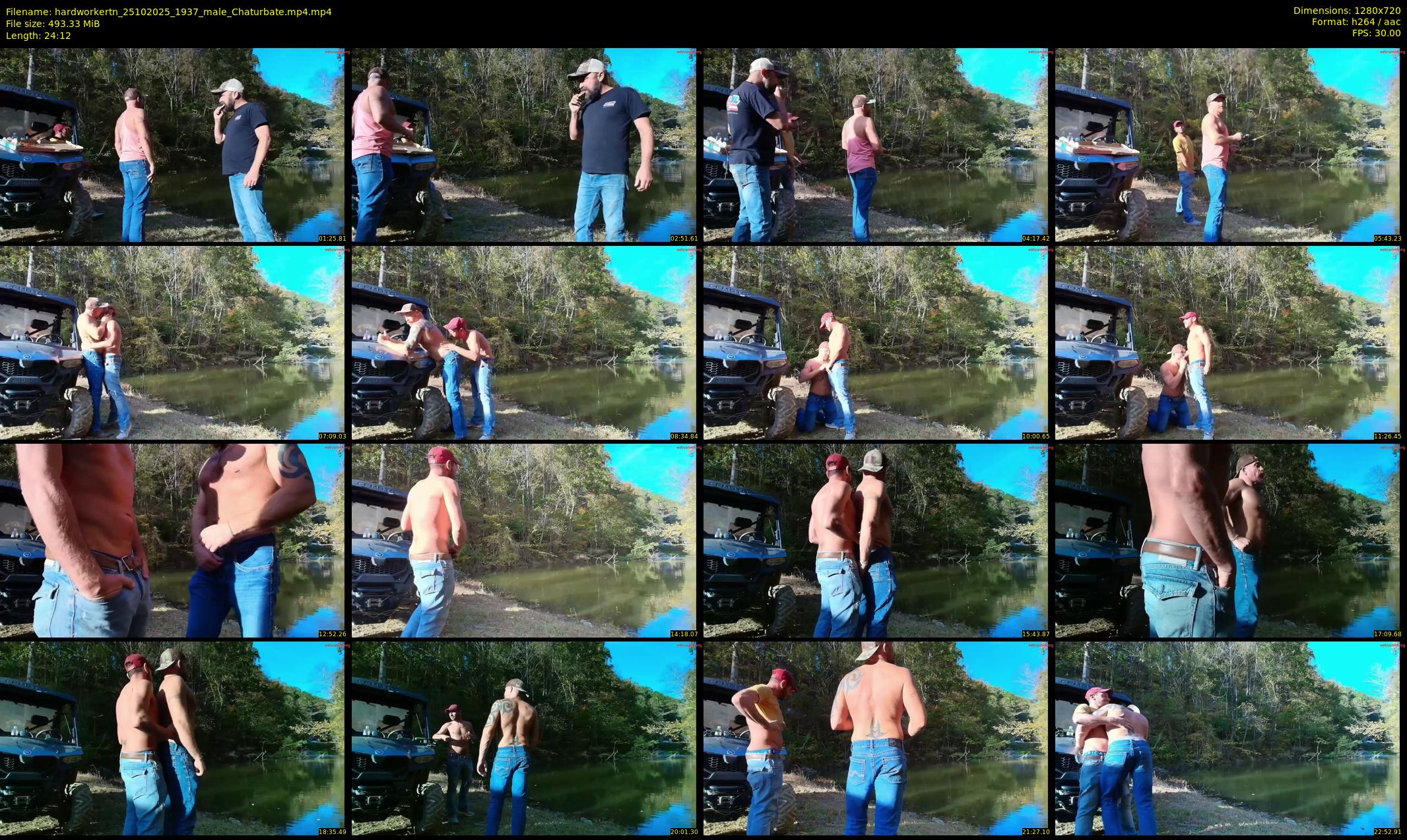 hardworkertn — 25 minute Chaturbate male cam show recording, 720p, Oct 25, 2025