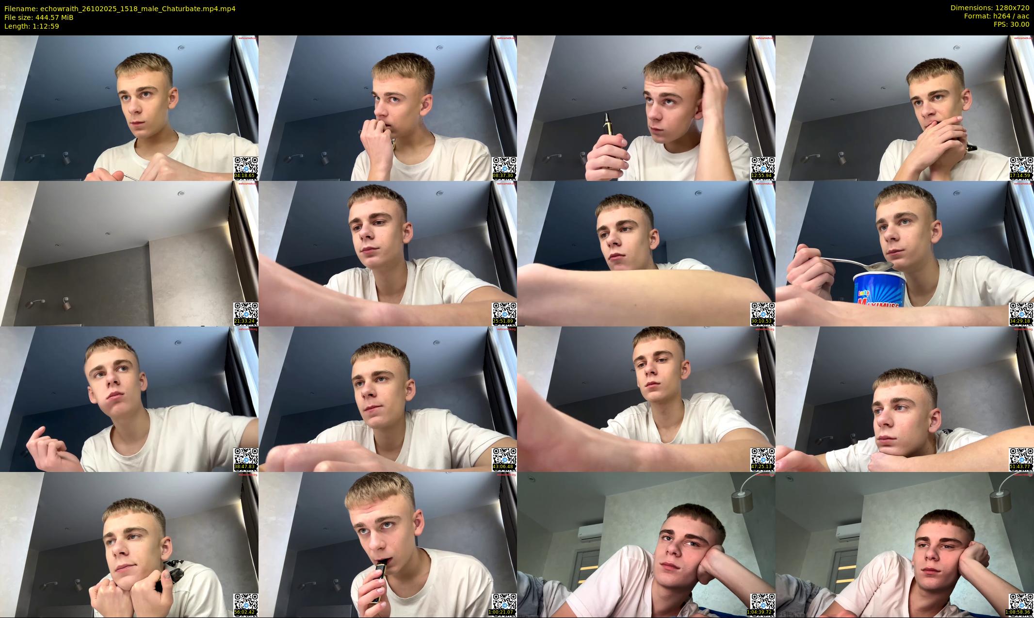 echowraith — 73 minute Chaturbate male cam show recording, 720p, Oct 26, 2025