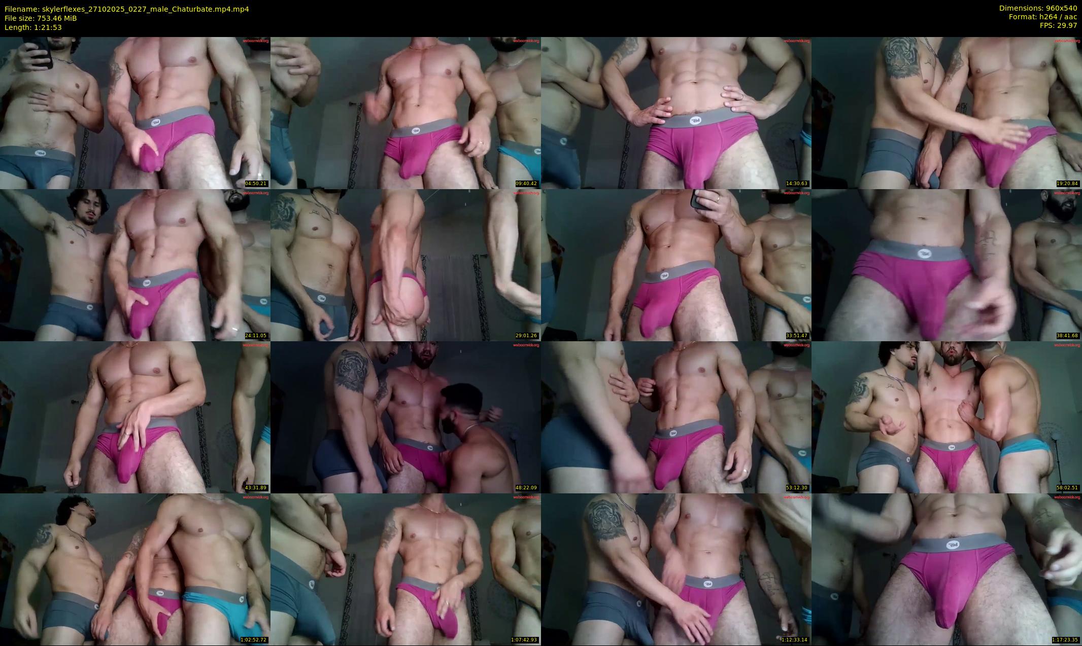 skylerflexes — 82 minute Chaturbate male cam show recording, 480p, Oct 27, 2025