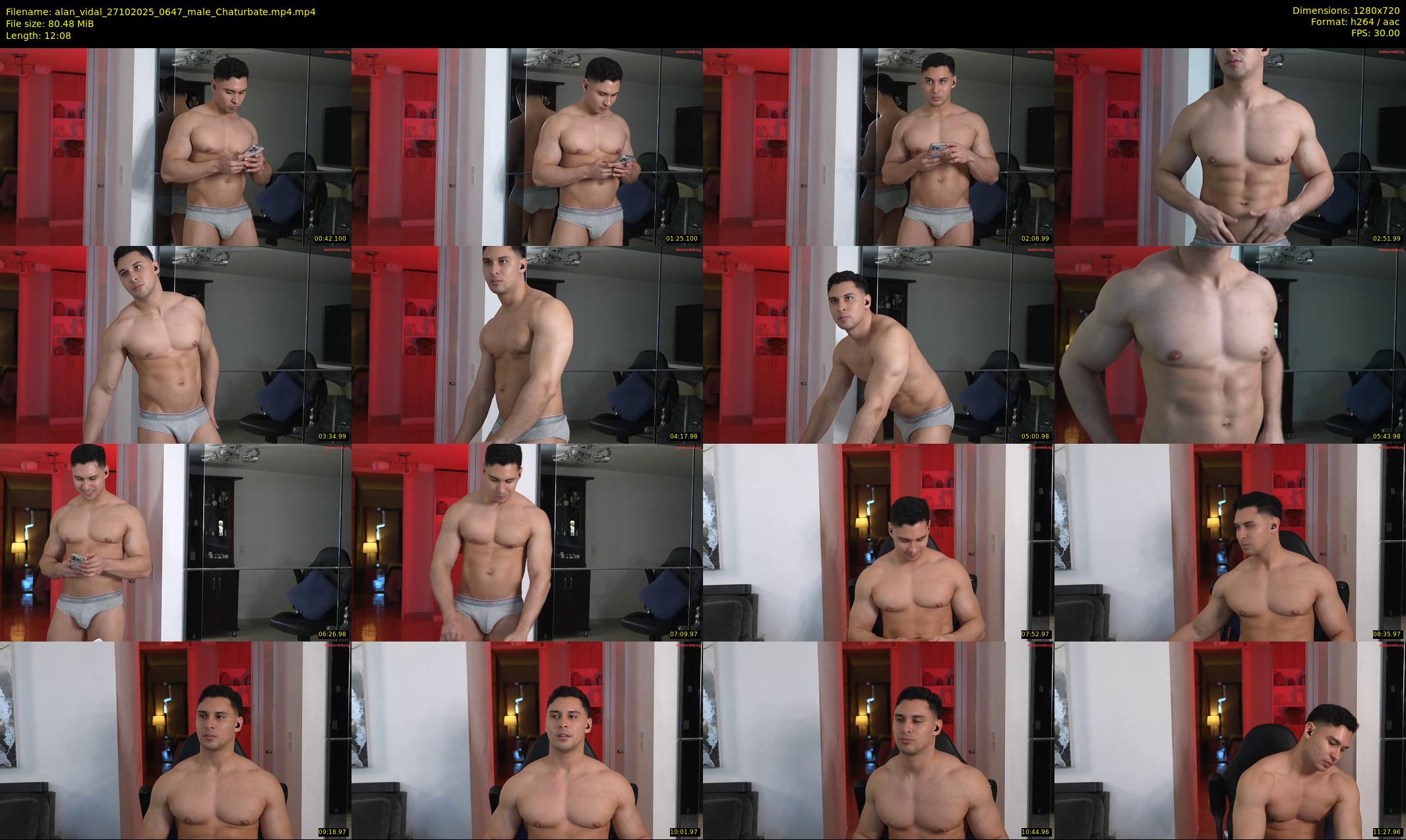 alan_vidal — 13 minute Chaturbate male cam show recording, 720p, Oct 27, 2025