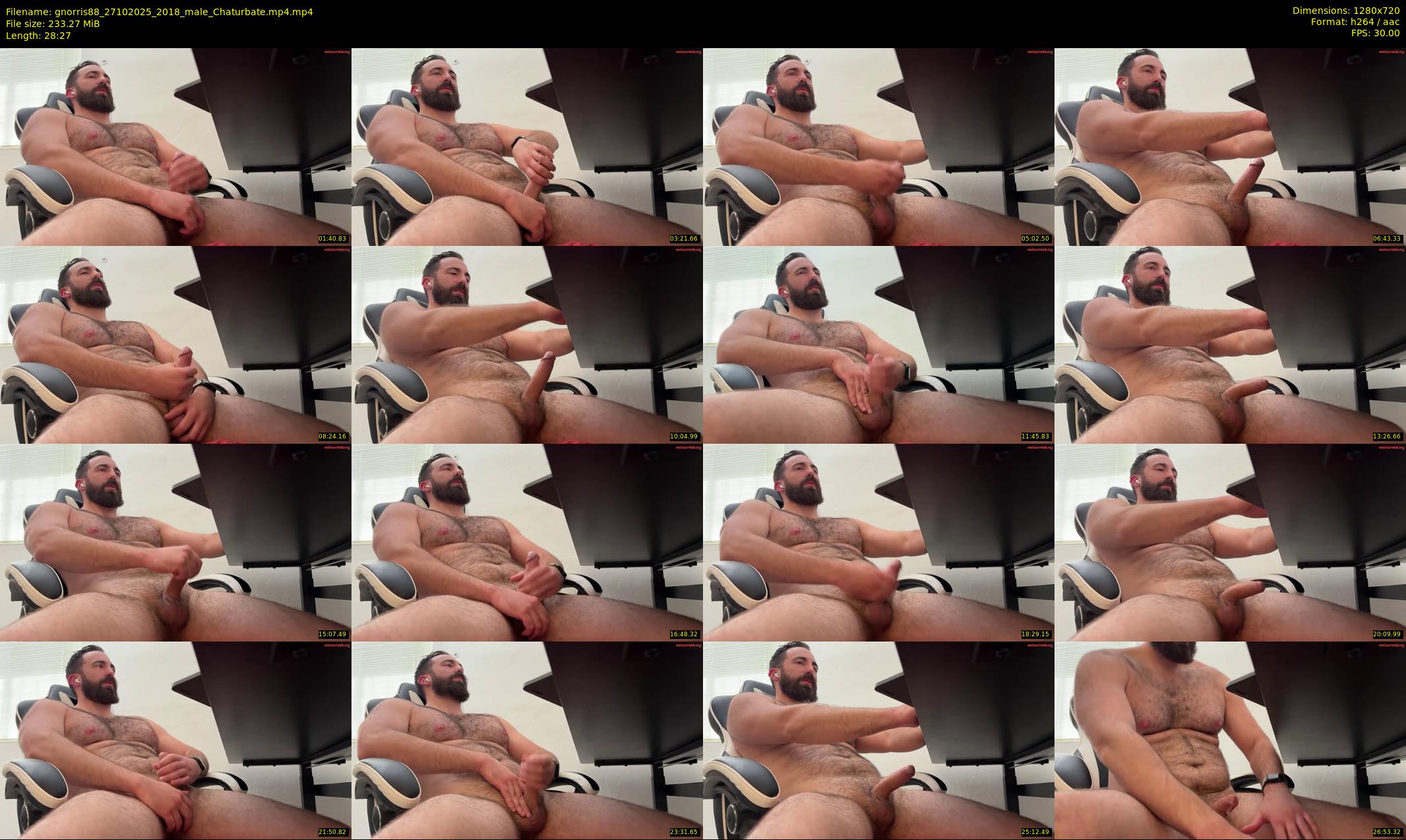 gnorris88 — 29 minute Chaturbate male cam show recording, 720p, Oct 27, 2025
