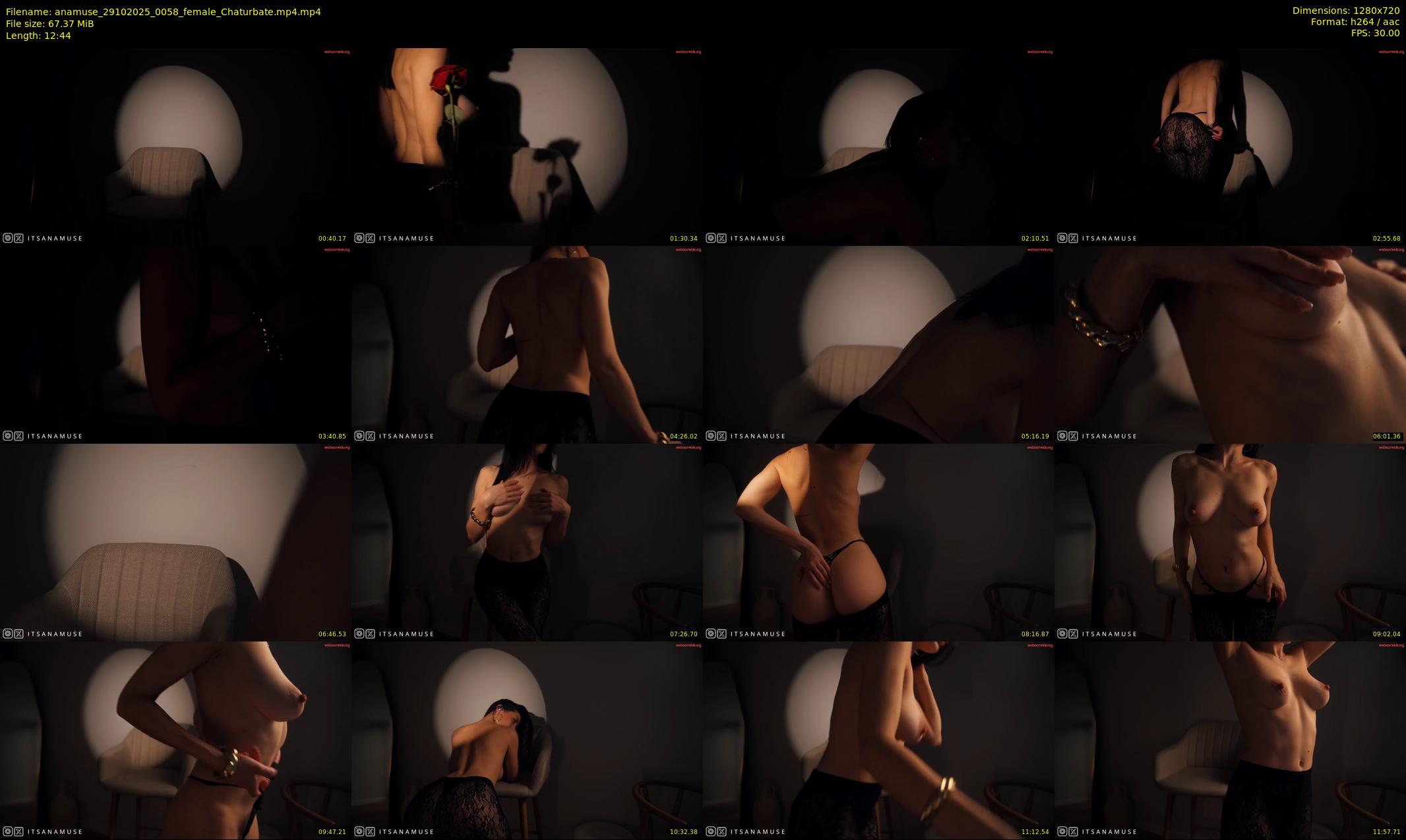 anamuse — 13 minute Chaturbate female cam show recording, 720p, Oct 29, 2025