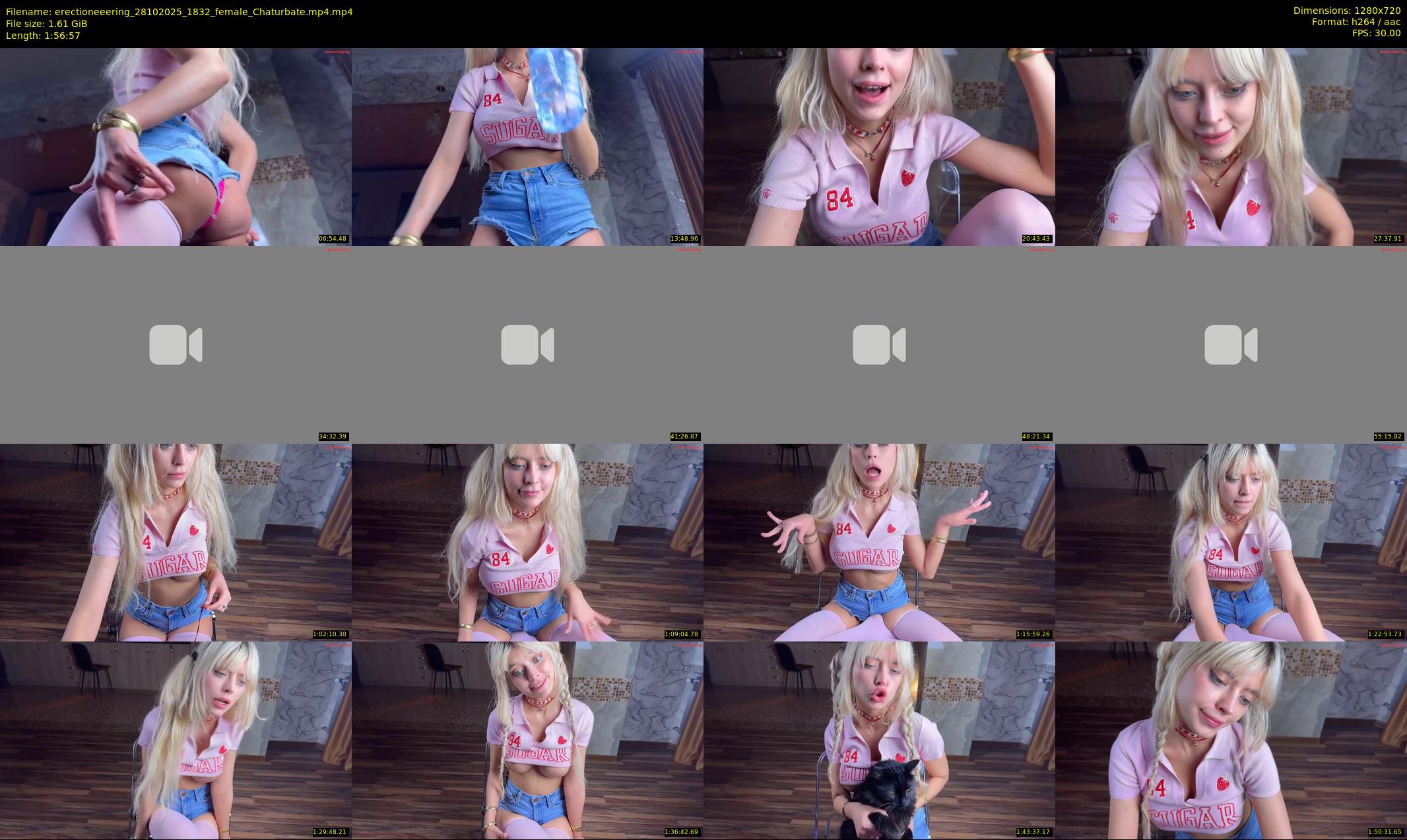 erectioneeering — 117 minute Chaturbate female cam show recording, 720p, Oct 28, 2025