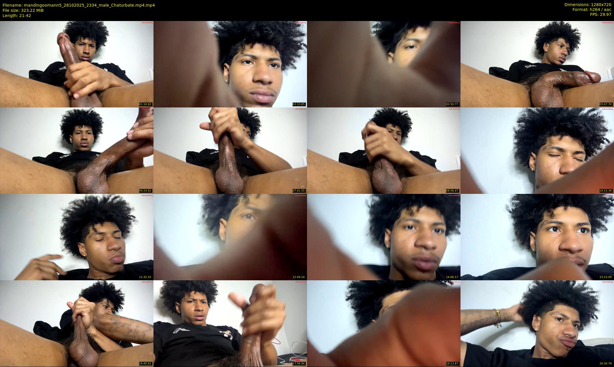 mandingoomann5 — 22 minute Chaturbate male cam show recording, 720p, Oct 28, 2025