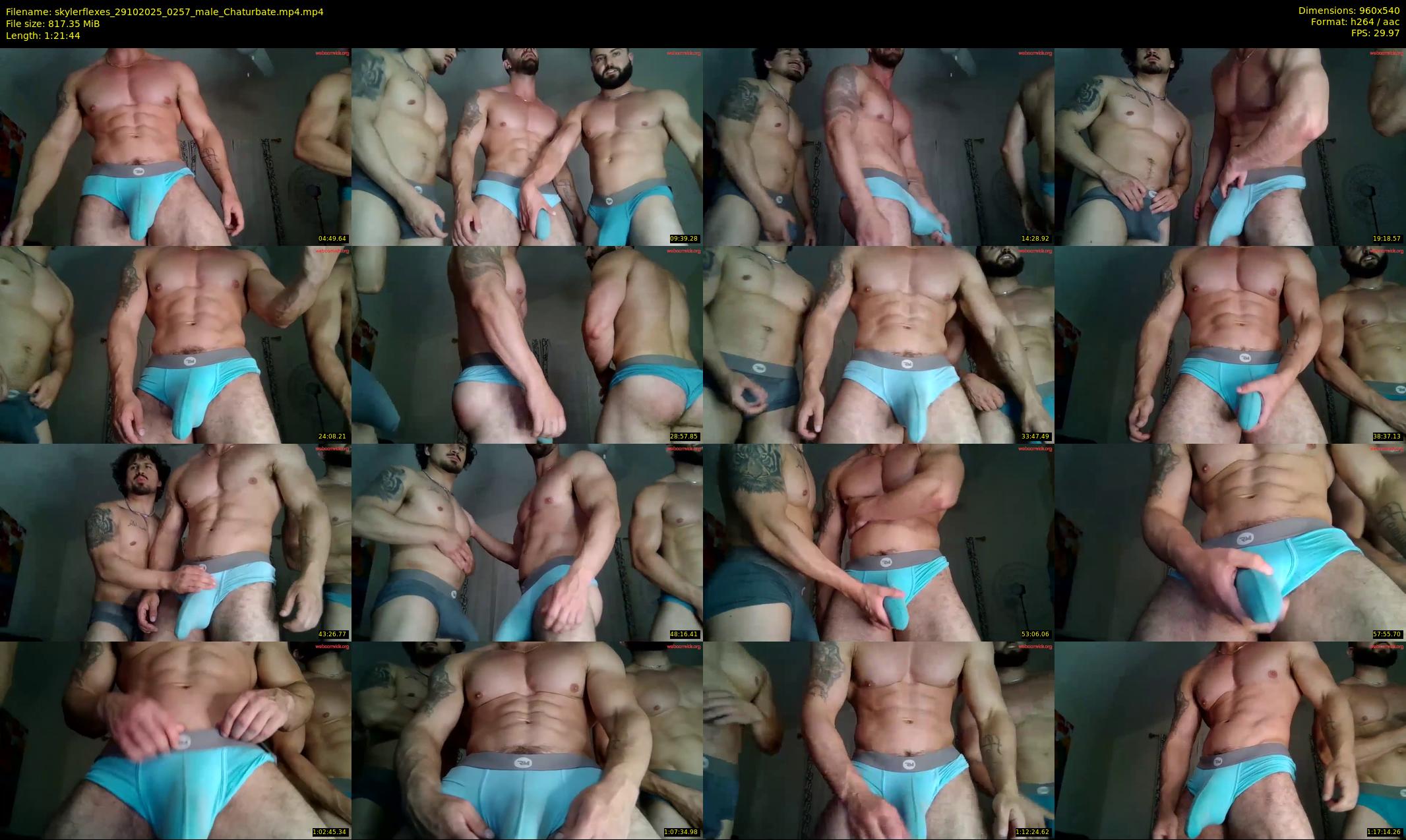 skylerflexes — 82 minute Chaturbate male cam show recording, 480p, Oct 29, 2025