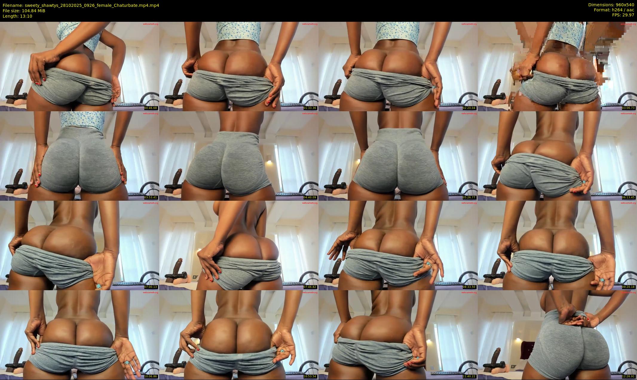 sweety_shawtys — 14 minute Chaturbate female cam show recording, 480p, Oct 28, 2025