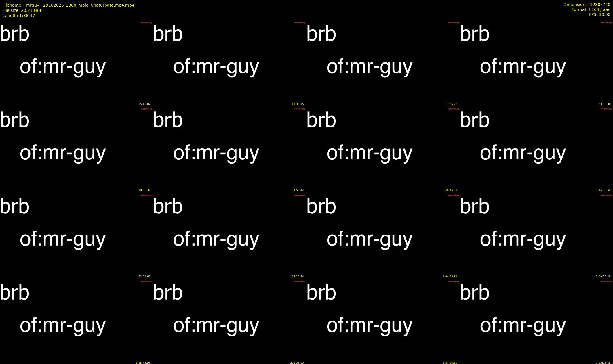 _mrguy_ — 99 minute Chaturbate male cam show recording, 720p, Oct 29, 2025
