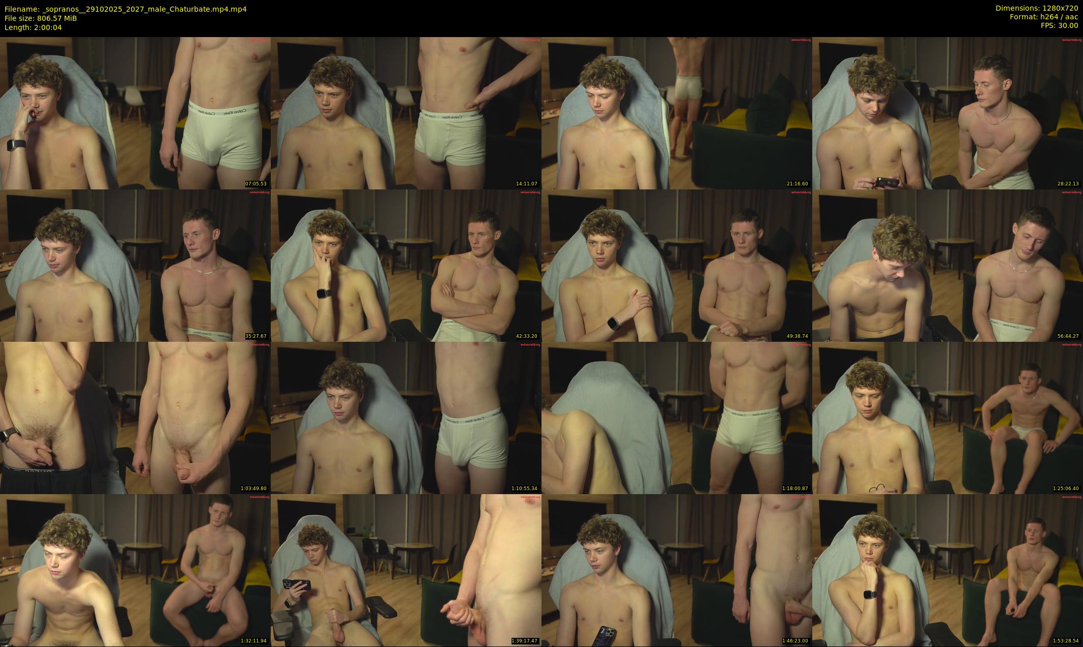 _sopranos_ — 121 minute Chaturbate male cam show recording, 720p, Oct 29, 2025