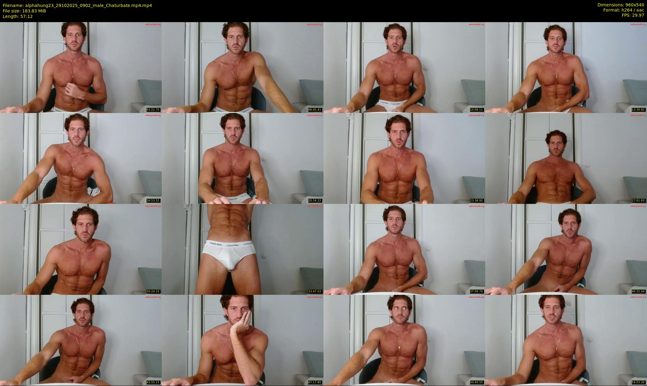 alphahung23 — 58 minute Chaturbate male cam show recording, 480p, Oct 29, 2025