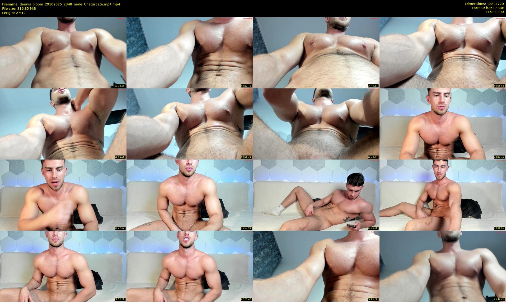 dennis_bloom — 28 minute Chaturbate male cam show recording, 720p, Oct 29, 2025