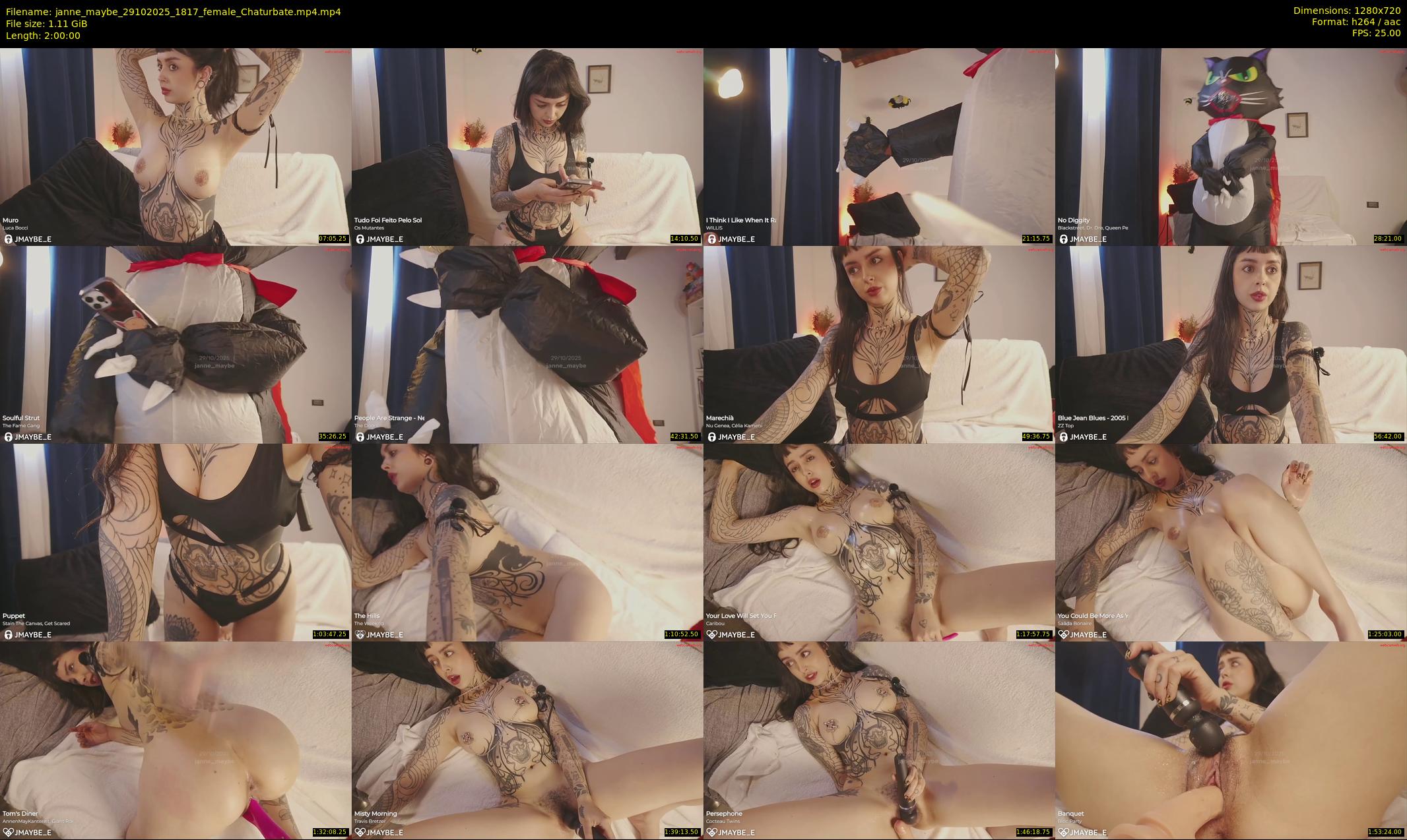 janne_maybe — 120 minute Chaturbate female cam show recording, 720p, Oct 29, 2025