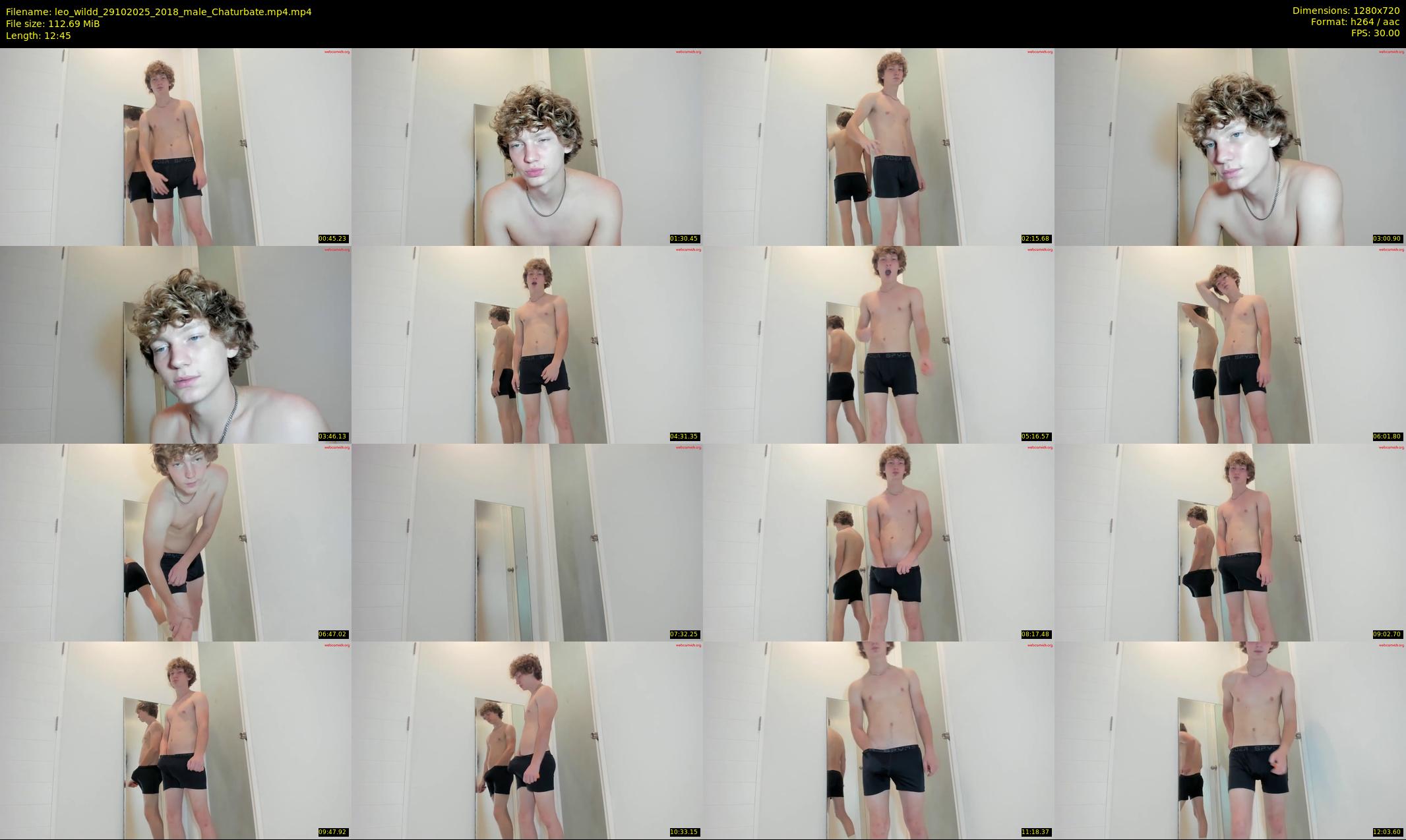leo_wildd — 13 minute Chaturbate male cam show recording, 720p, Oct 29, 2025