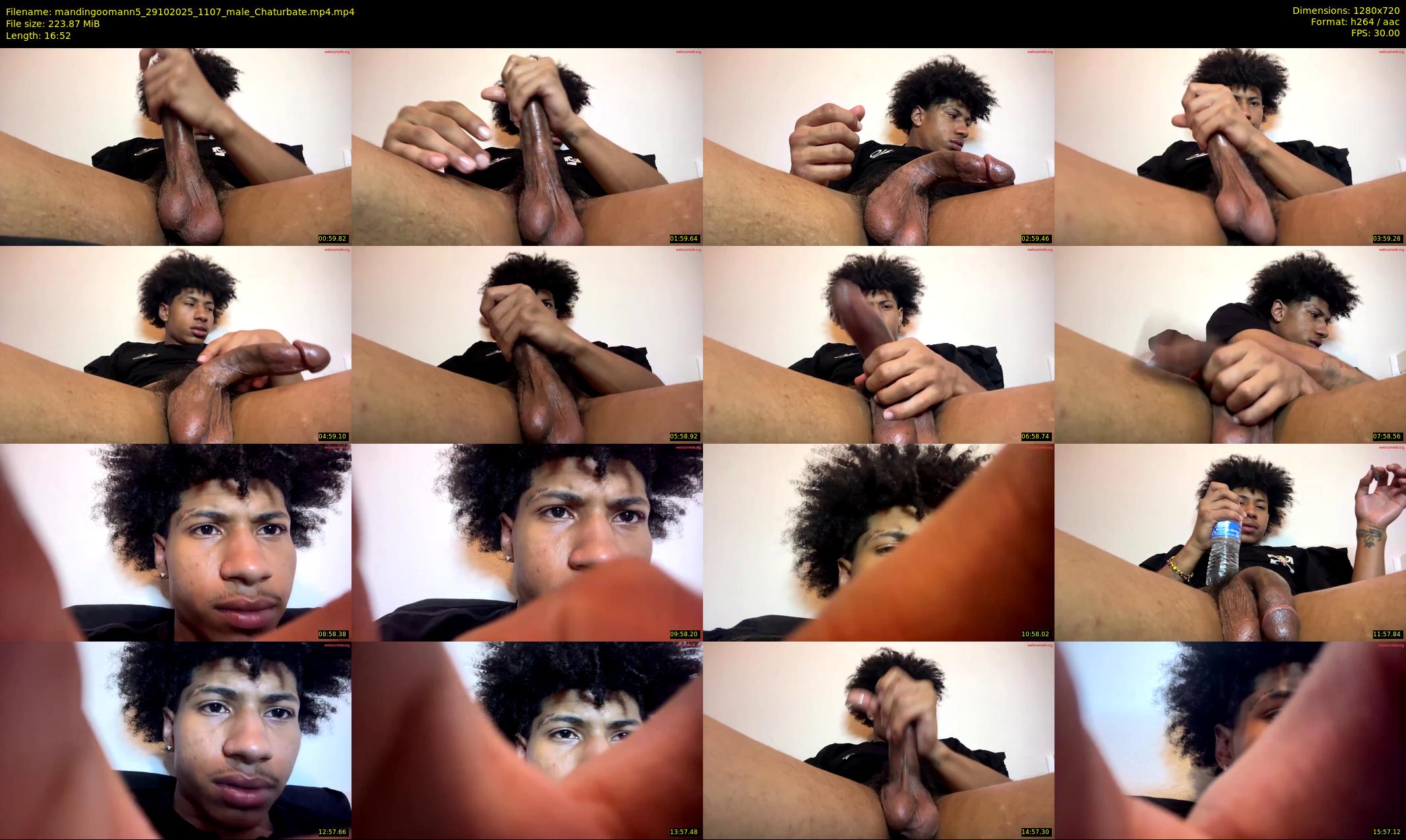 mandingoomann5 — 17 minute Chaturbate male cam show recording, 720p, Oct 29, 2025