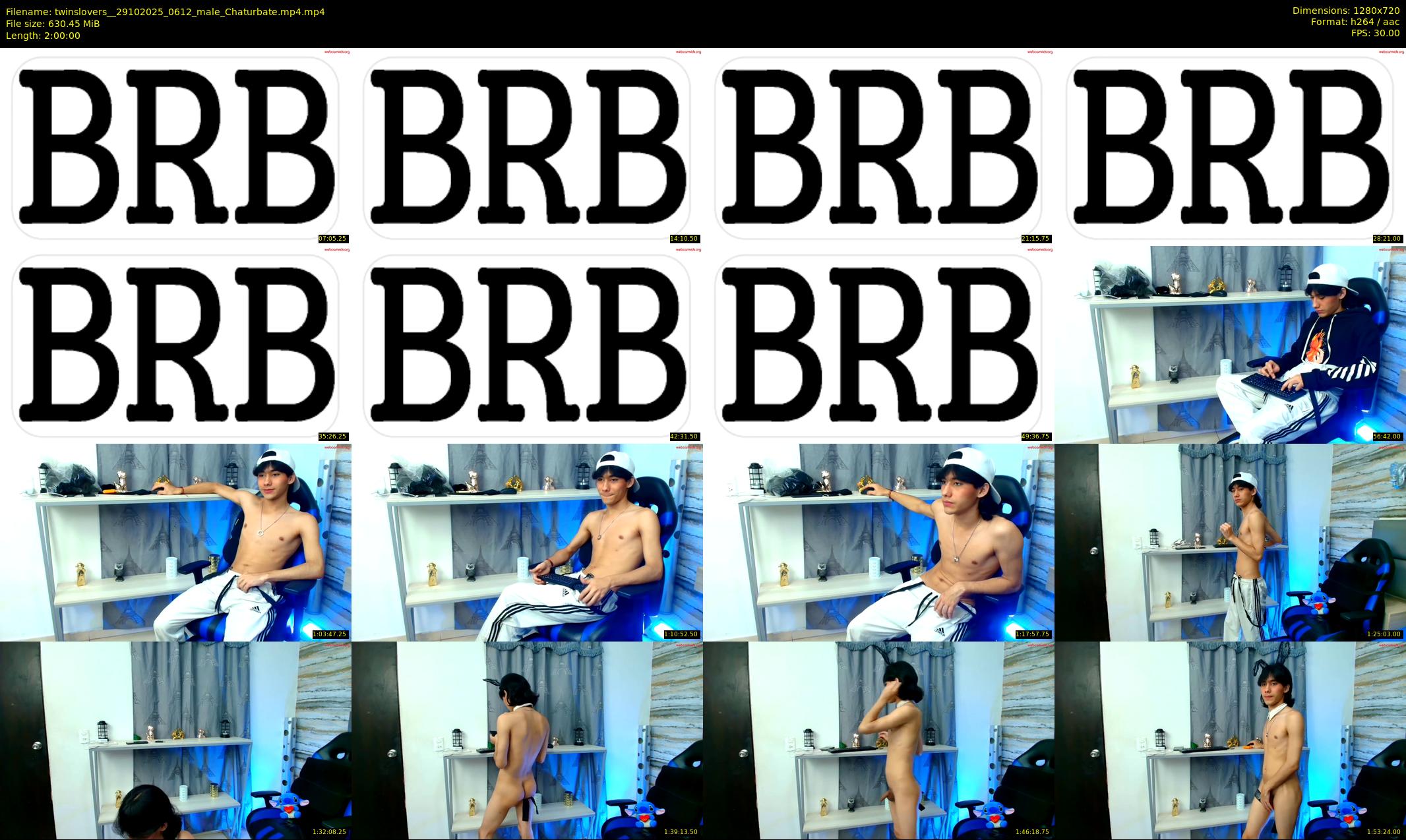 twinslovers_ — 120 minute Chaturbate couple cam show recording, 720p, Oct 29, 2025