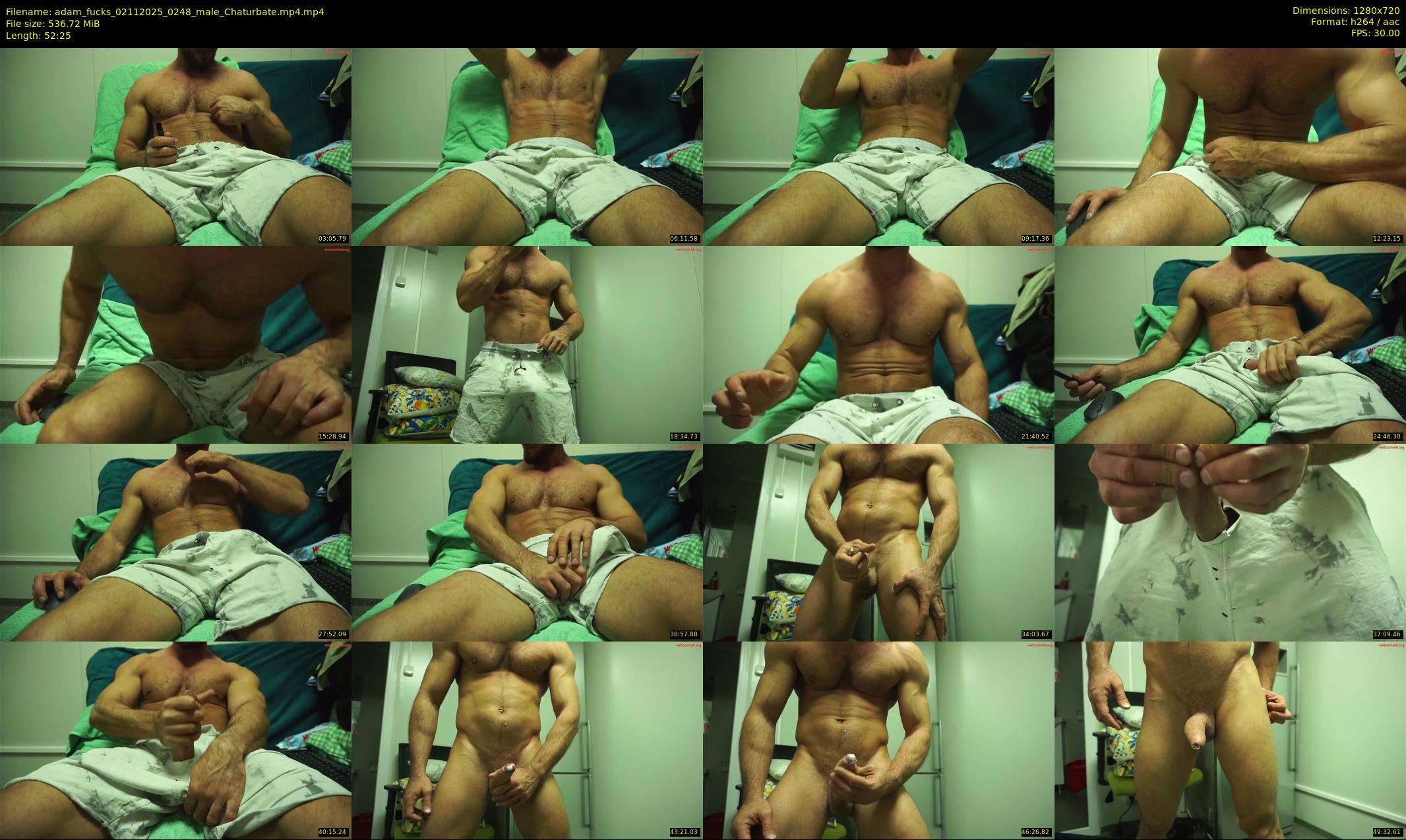 adam_fucks — 53 minute Chaturbate male cam show recording, 720p, Nov 2, 2025
