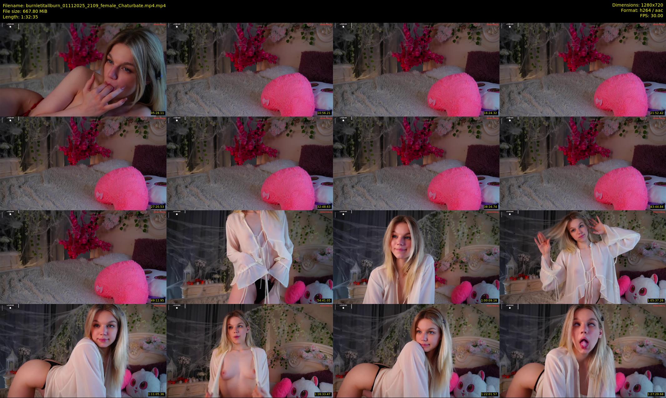 burnletitallburn — 93 minute Chaturbate female cam show recording, 720p, Nov 1, 2025