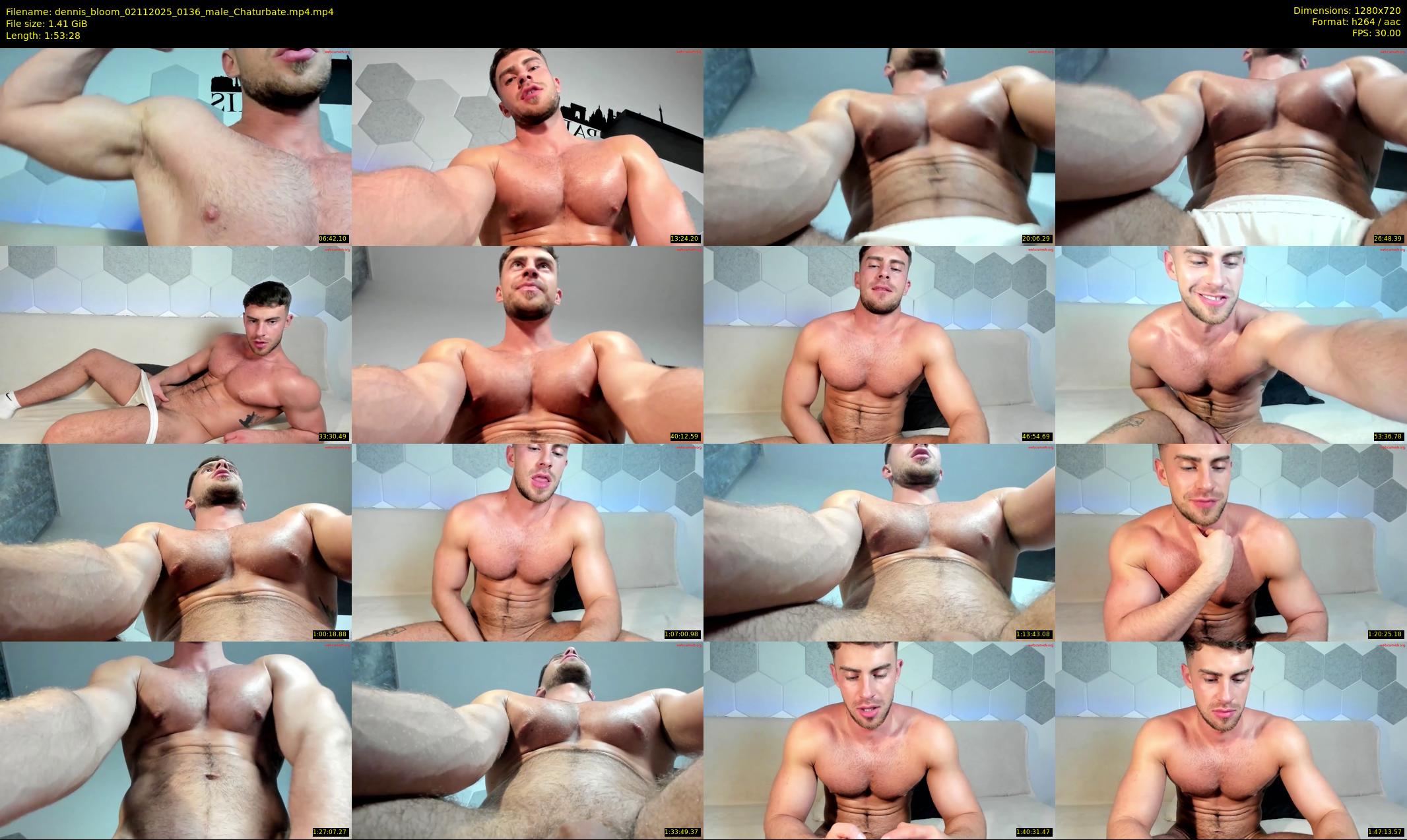 dennis_bloom — 114 minute Chaturbate male cam show recording, 720p, Nov 2, 2025