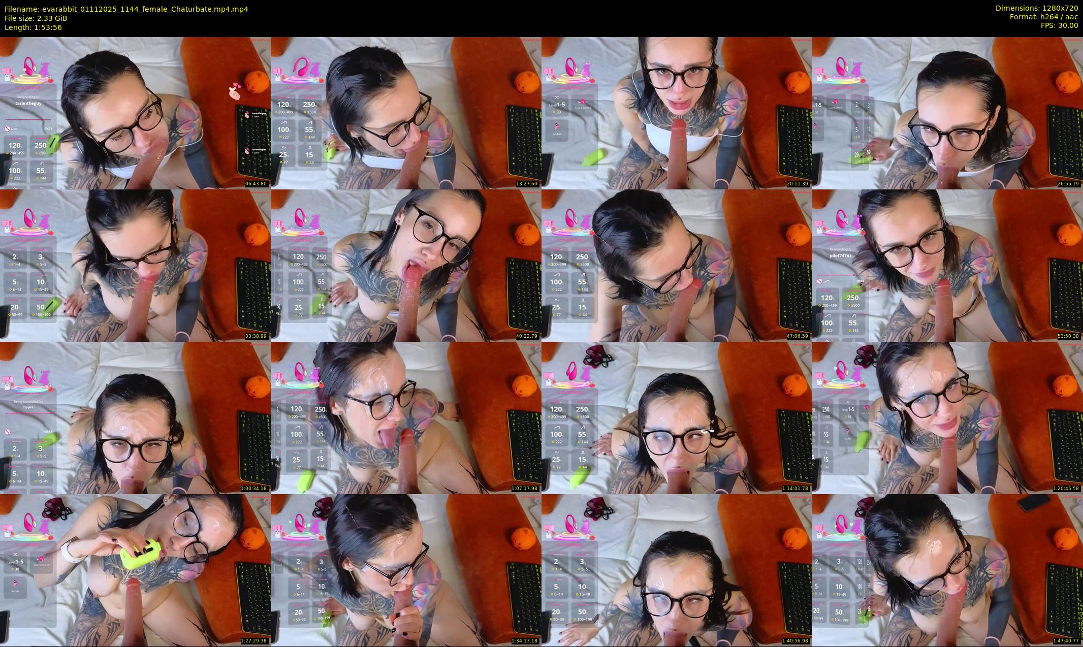 evarabbit — 114 minute Chaturbate female cam show recording, 720p, Nov 1, 2025