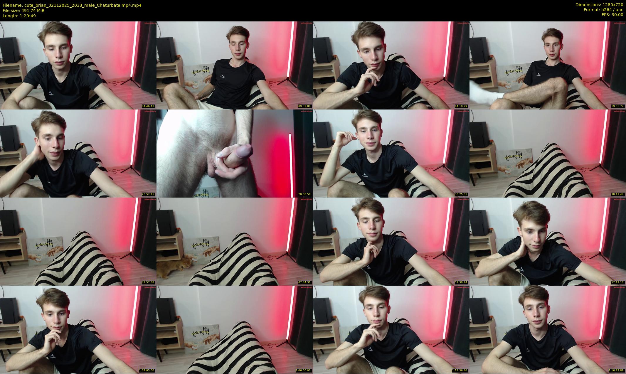 cute_brian — 81 minute Chaturbate male cam show recording, 720p, Nov 2, 2025