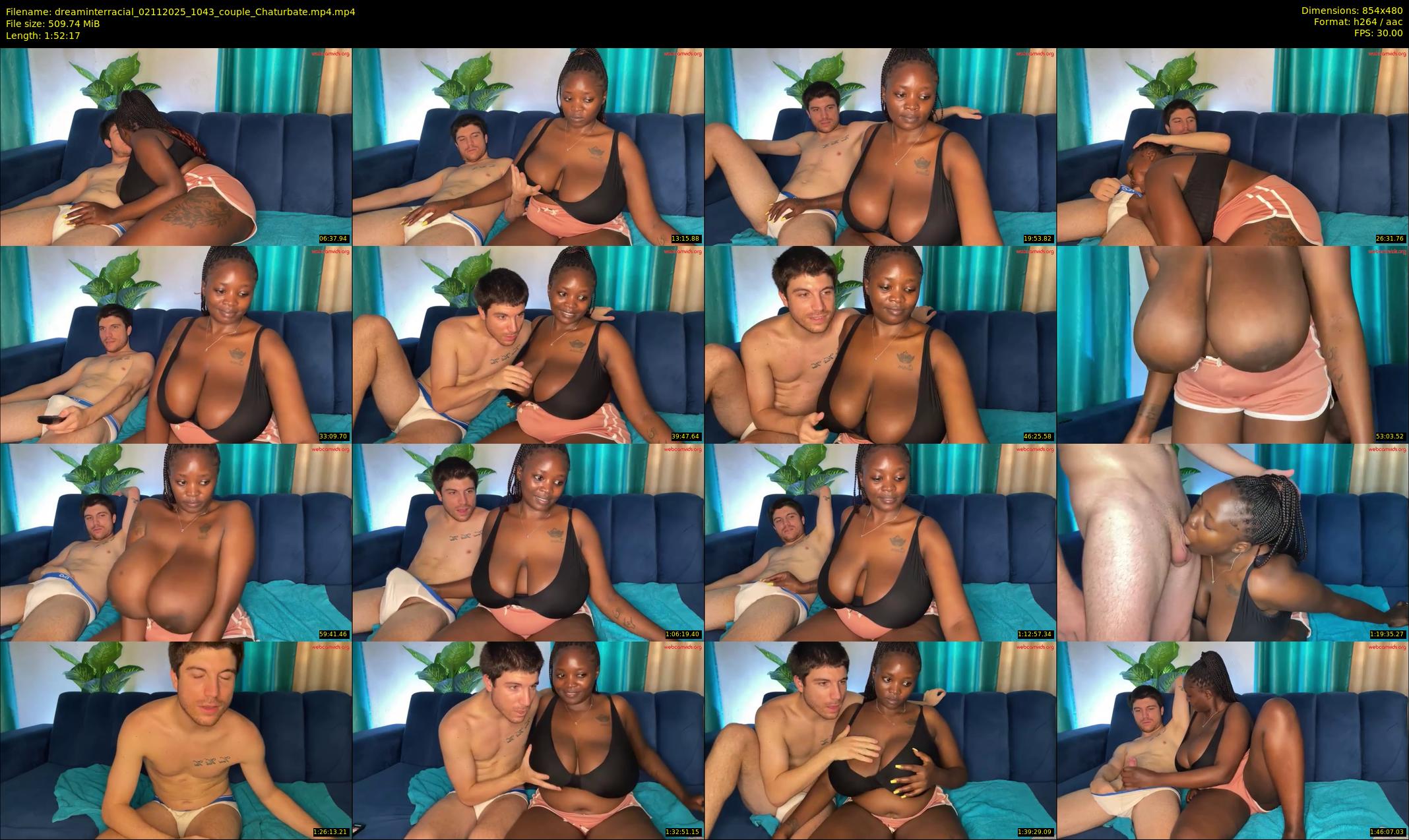 dreaminterracial — 113 minute Chaturbate couple cam show recording, 480p, Nov 2, 2025