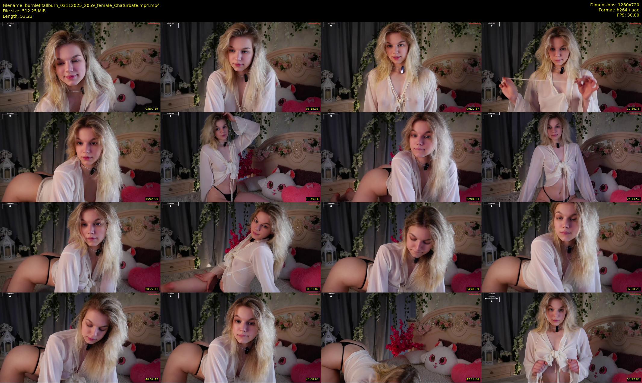 burnletitallburn — 54 minute Chaturbate female cam show recording, 720p, Nov 3, 2025