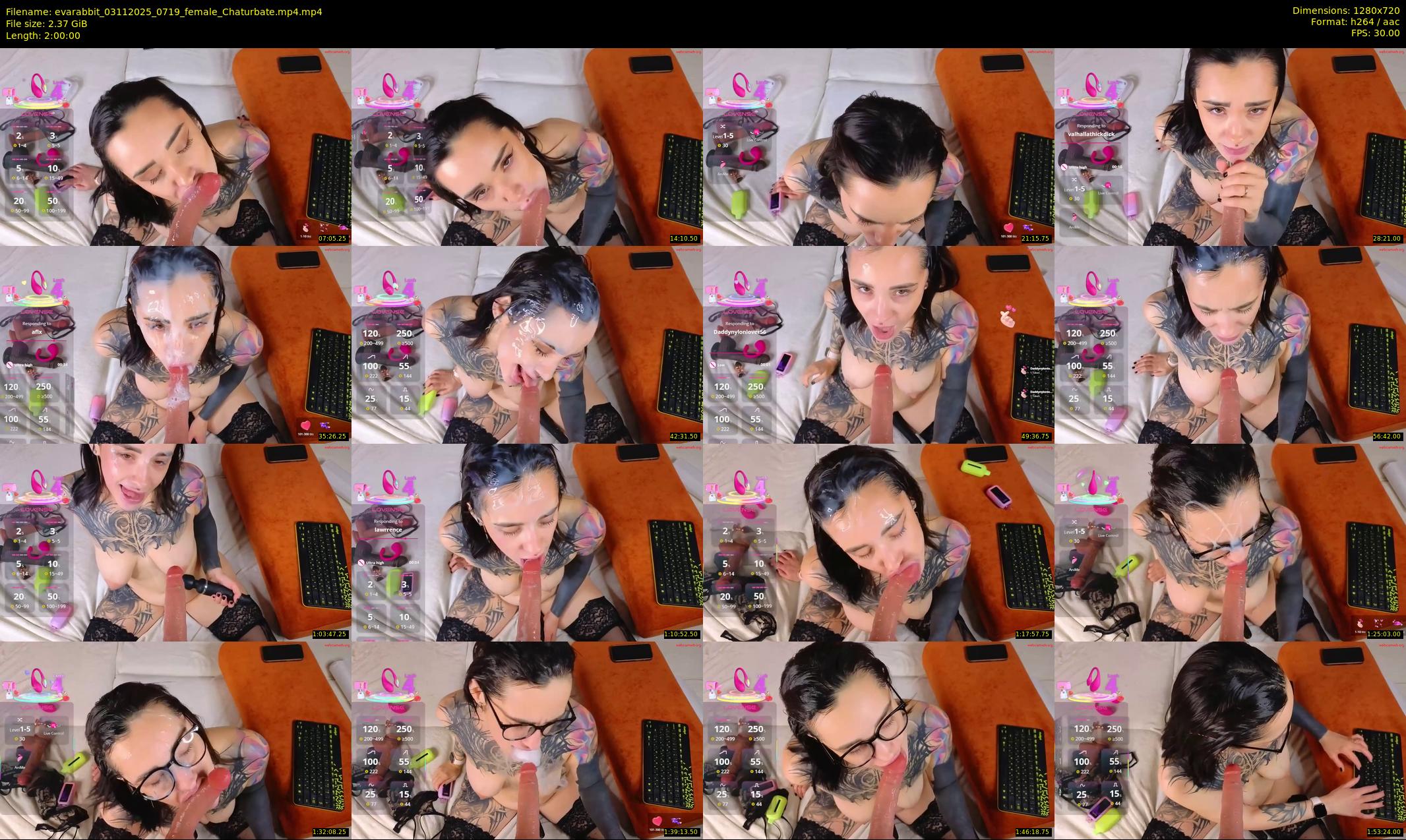 evarabbit — 120 minute Chaturbate female cam show recording, 720p, Nov 3, 2025