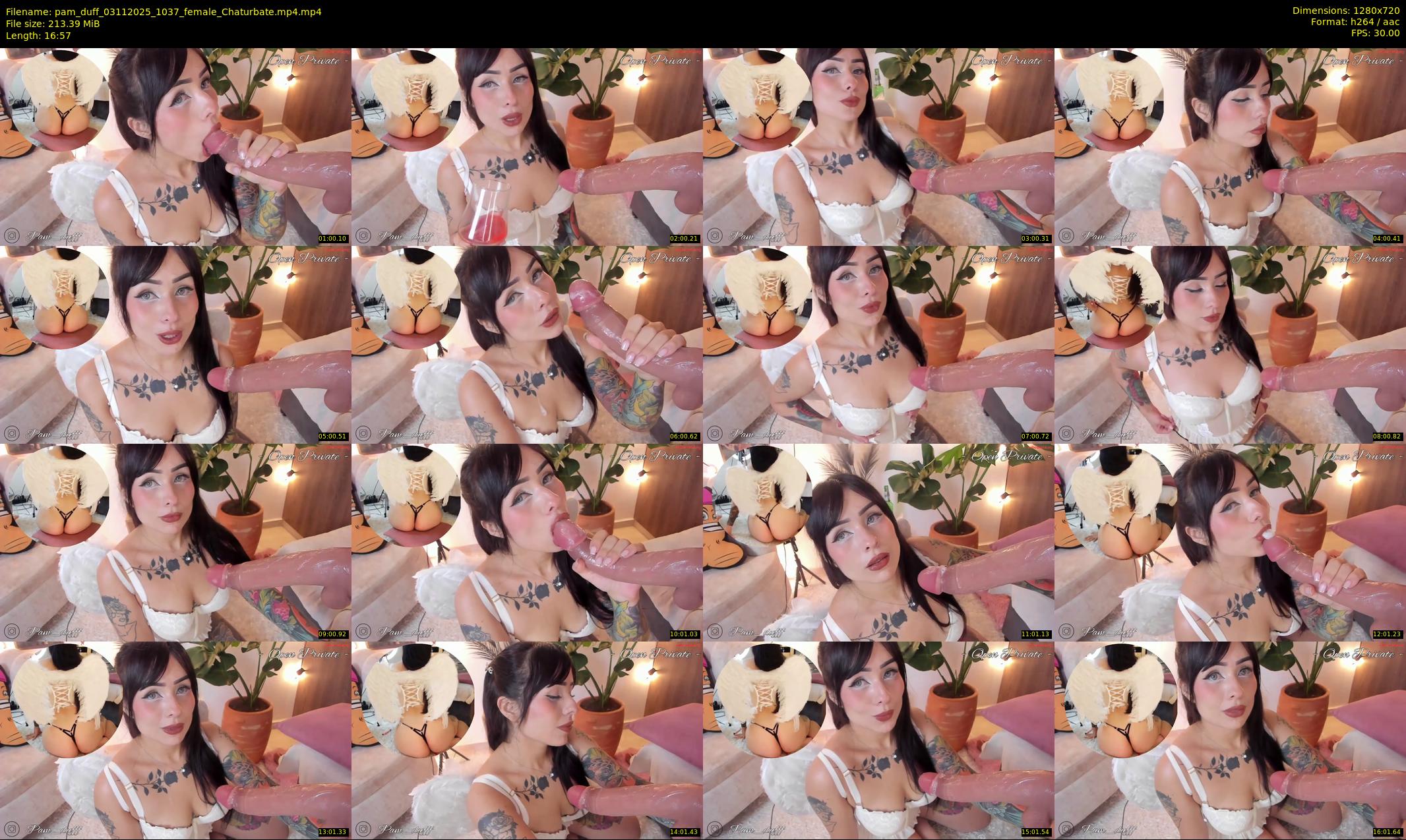 pam_duff — 17 minute Chaturbate female cam show recording, 720p, Nov 3, 2025