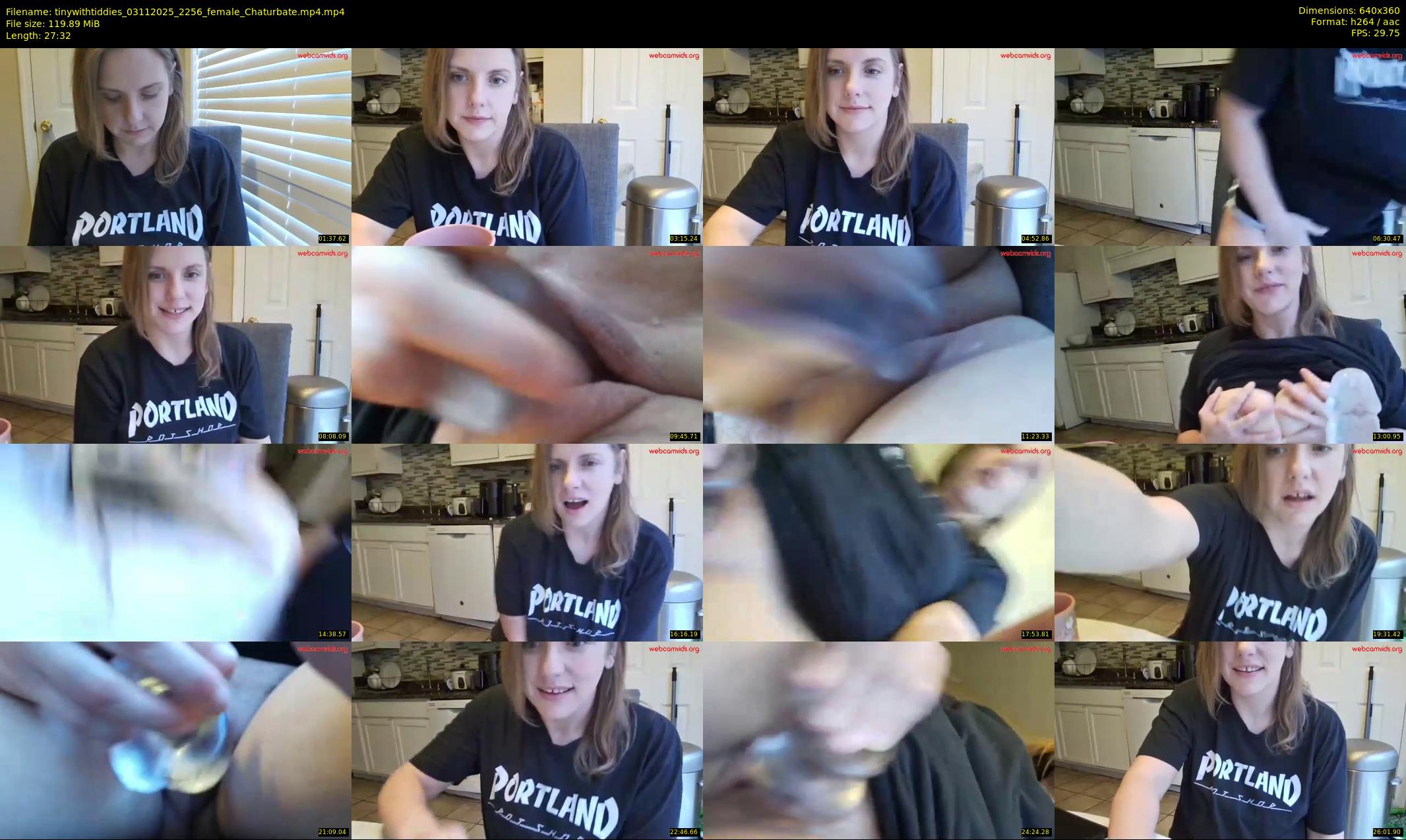 tinywithtiddies — 28 minute Chaturbate female cam show recording, 360p, Nov 3, 2025