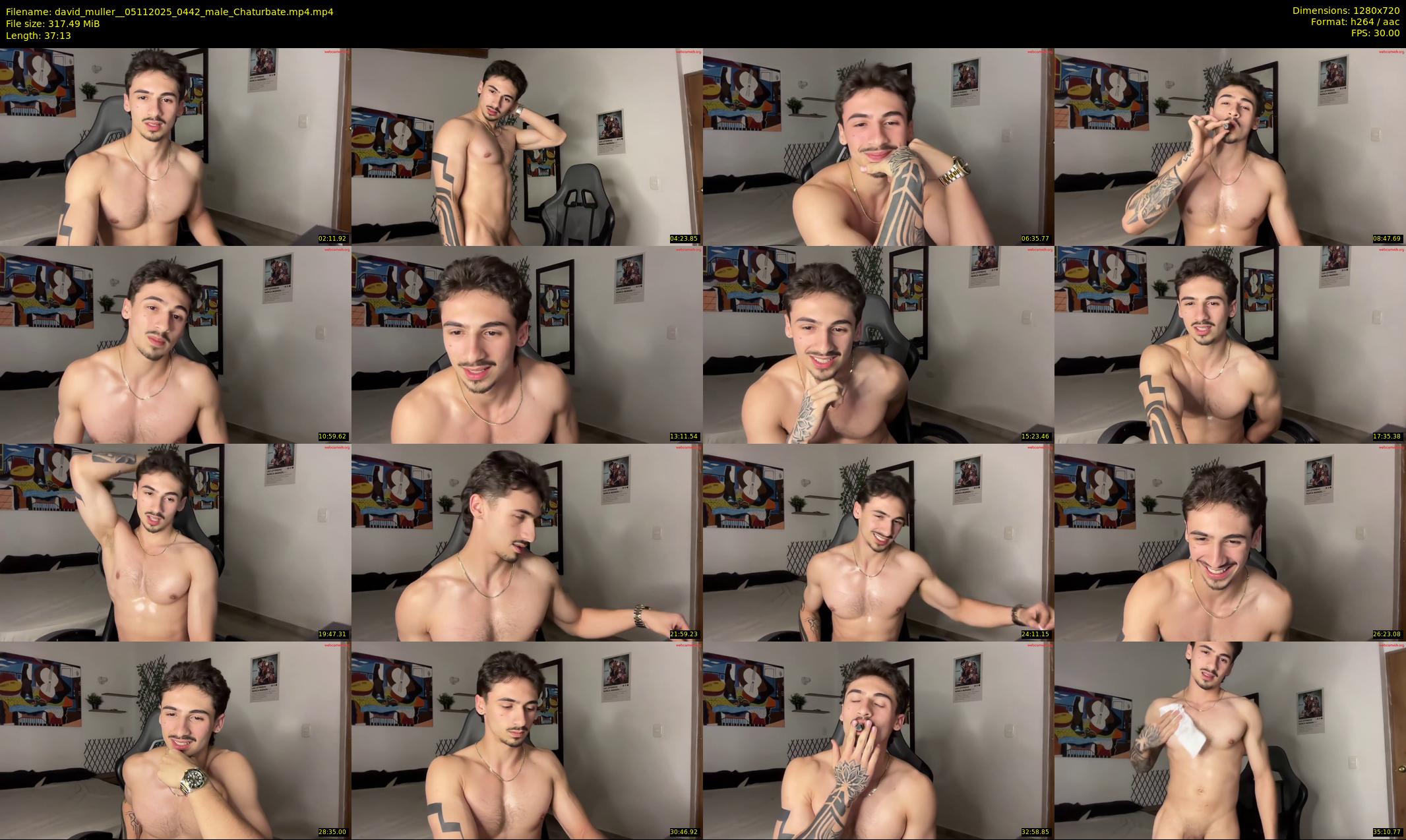 david_muller_ — 38 minute Chaturbate male cam show recording, 720p, Nov 5, 2025