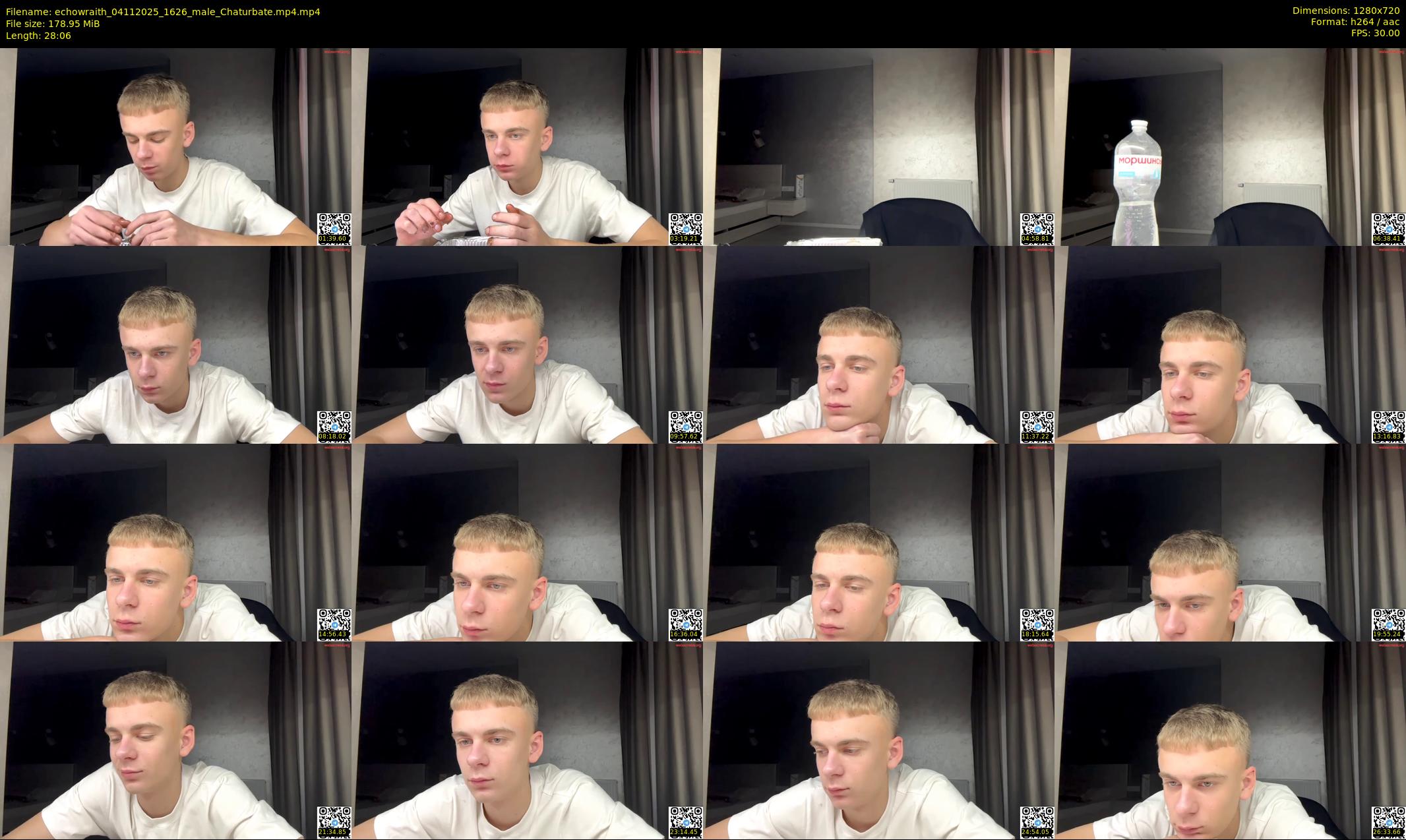 echowraith — 29 minute Chaturbate male cam show recording, 720p, Nov 4, 2025