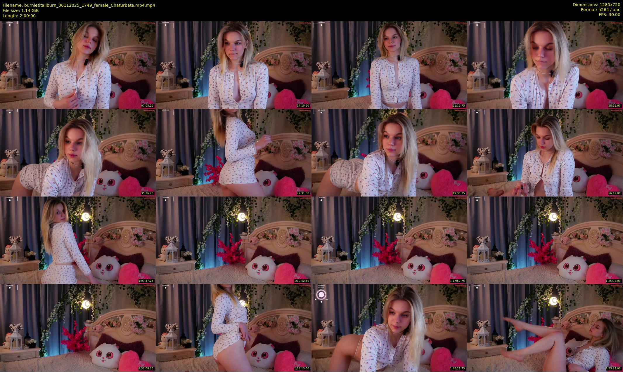 burnletitallburn — 120 minute Chaturbate female cam show recording, 720p, Nov 6, 2025