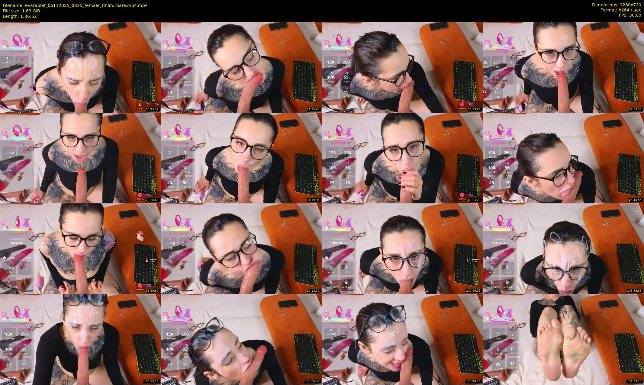 evarabbit — 97 minute Chaturbate female cam show recording, 720p, Nov 6, 2025