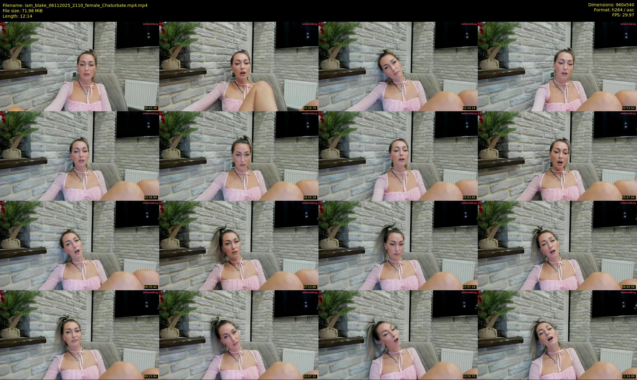 iam_blake — 13 minute Chaturbate female cam show recording, 480p, Nov 6, 2025